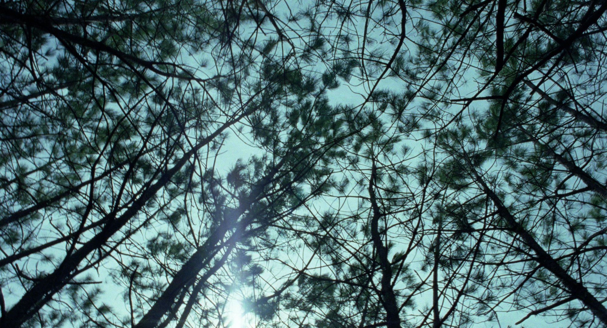DAWN_08.jpg