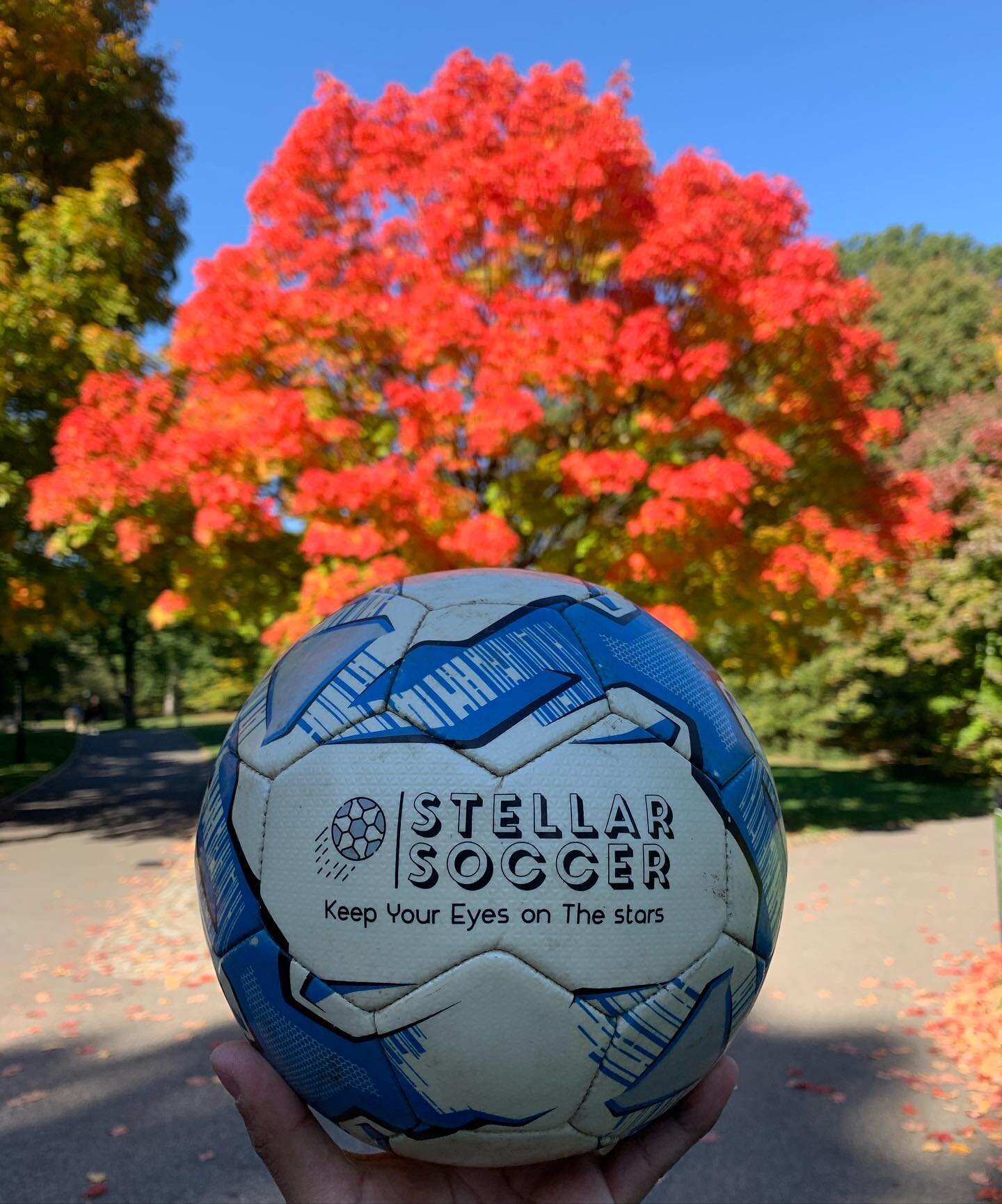 Fall beauty is upon us. 🍂⚽️