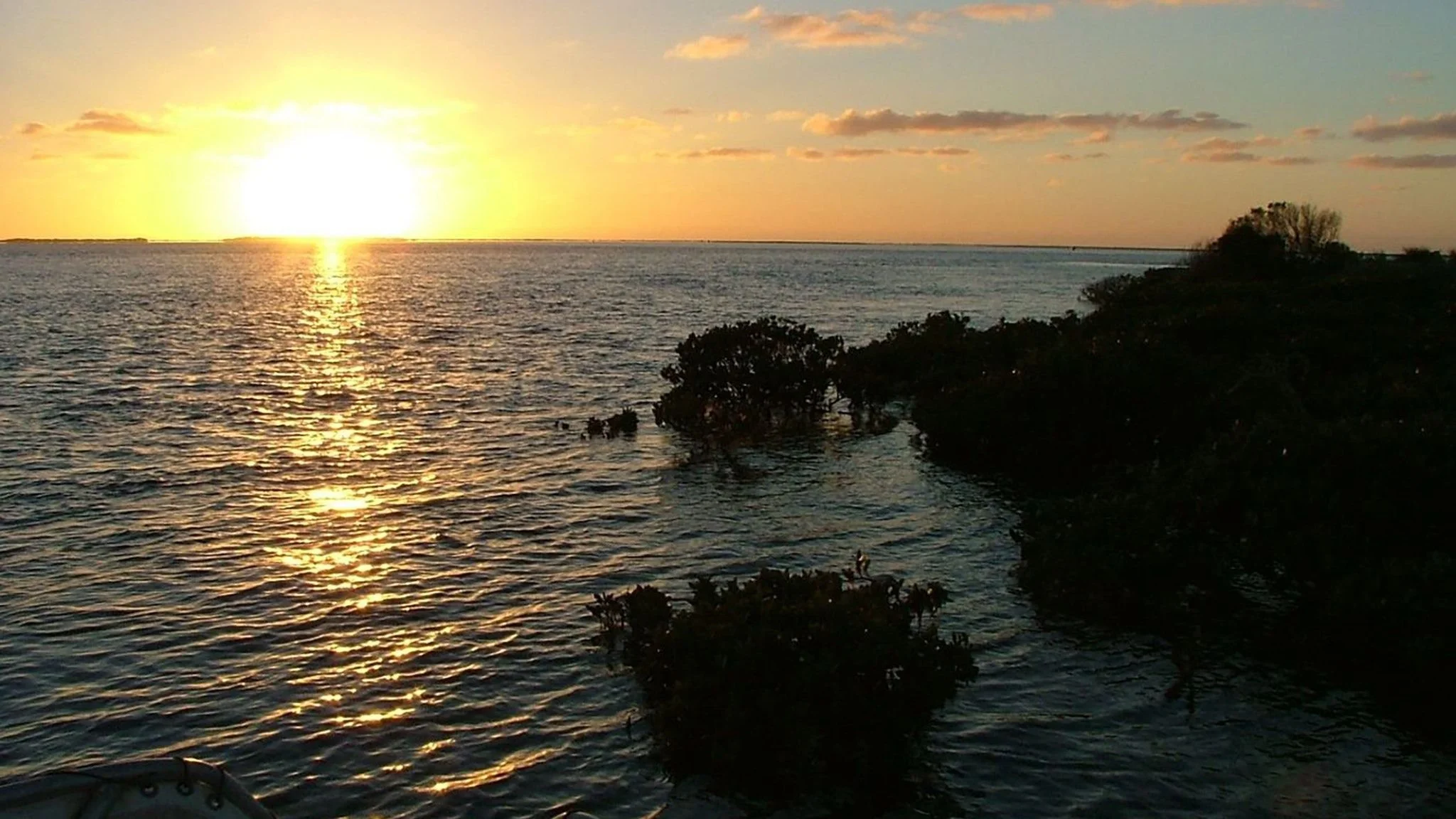 IWG Nooramunga Estuarine Meeting