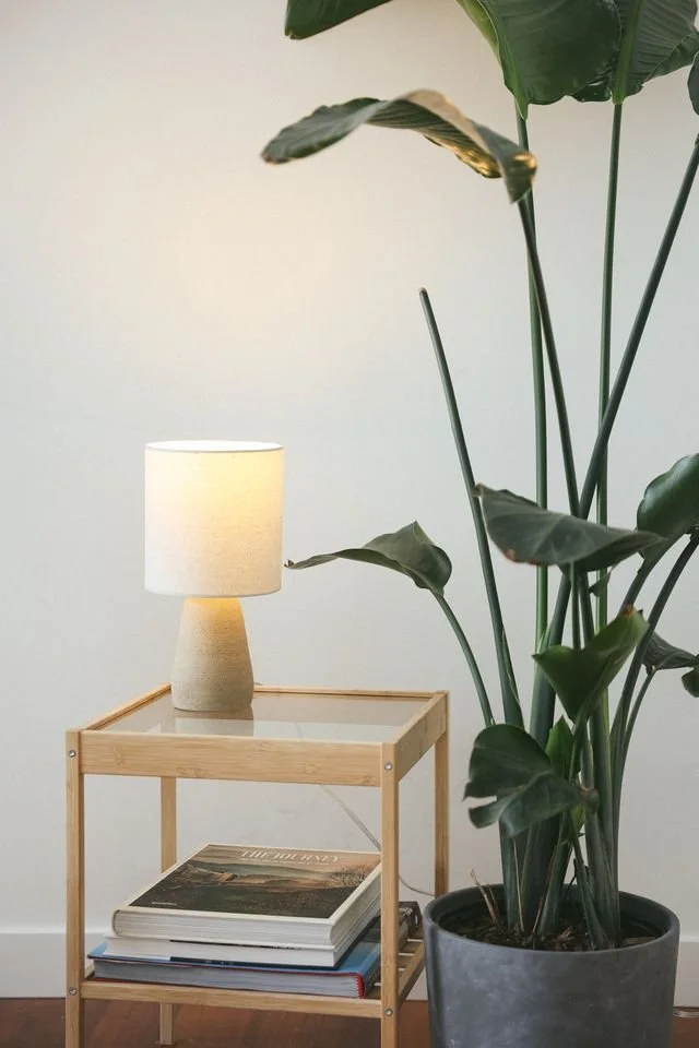 A wooden side table with a glass top, a lamp with a beige base and shade, made by Natalya Jane, and a large potted plant with broad green leaves
