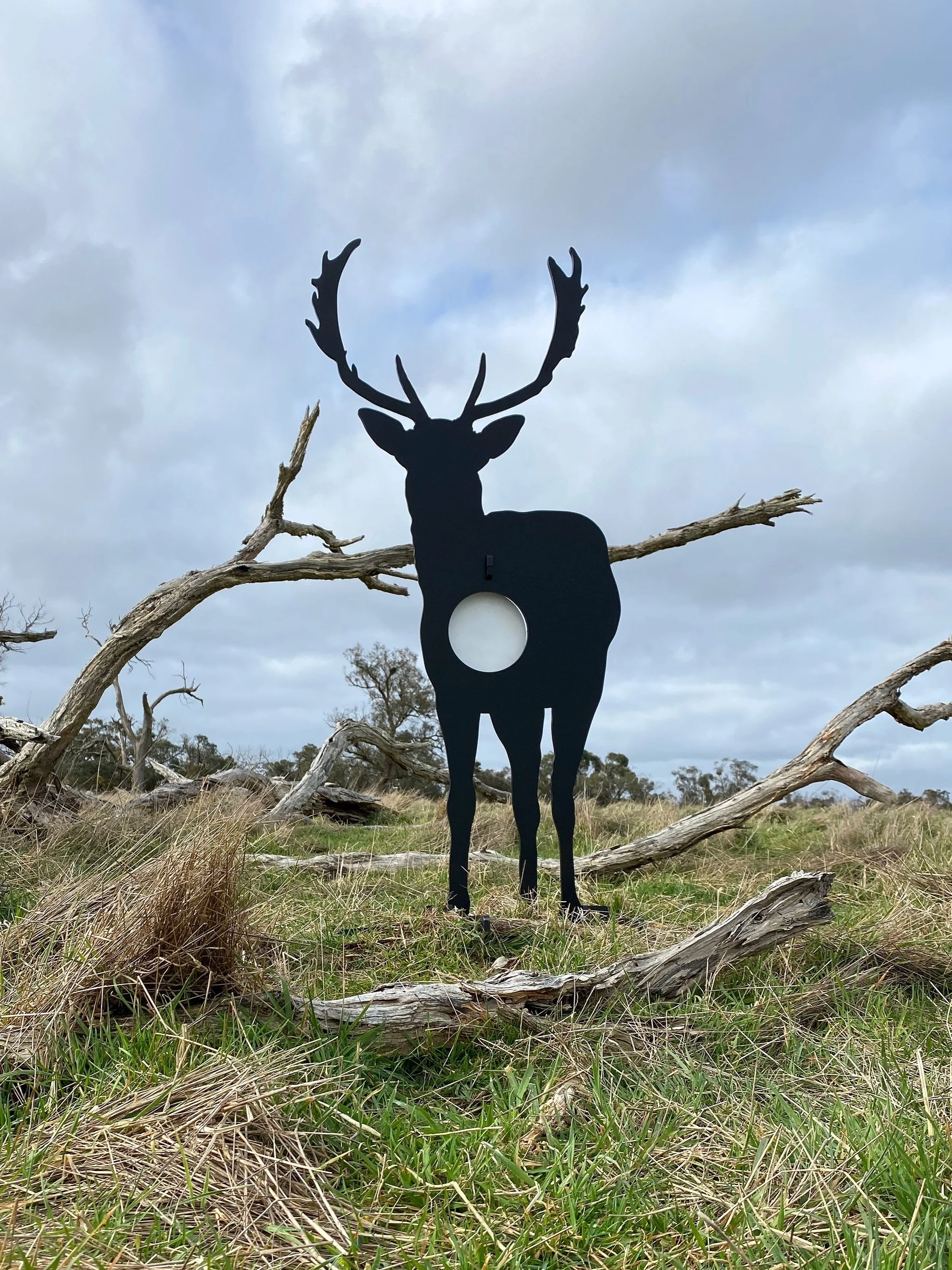 Front Facing Fallow Deer Target