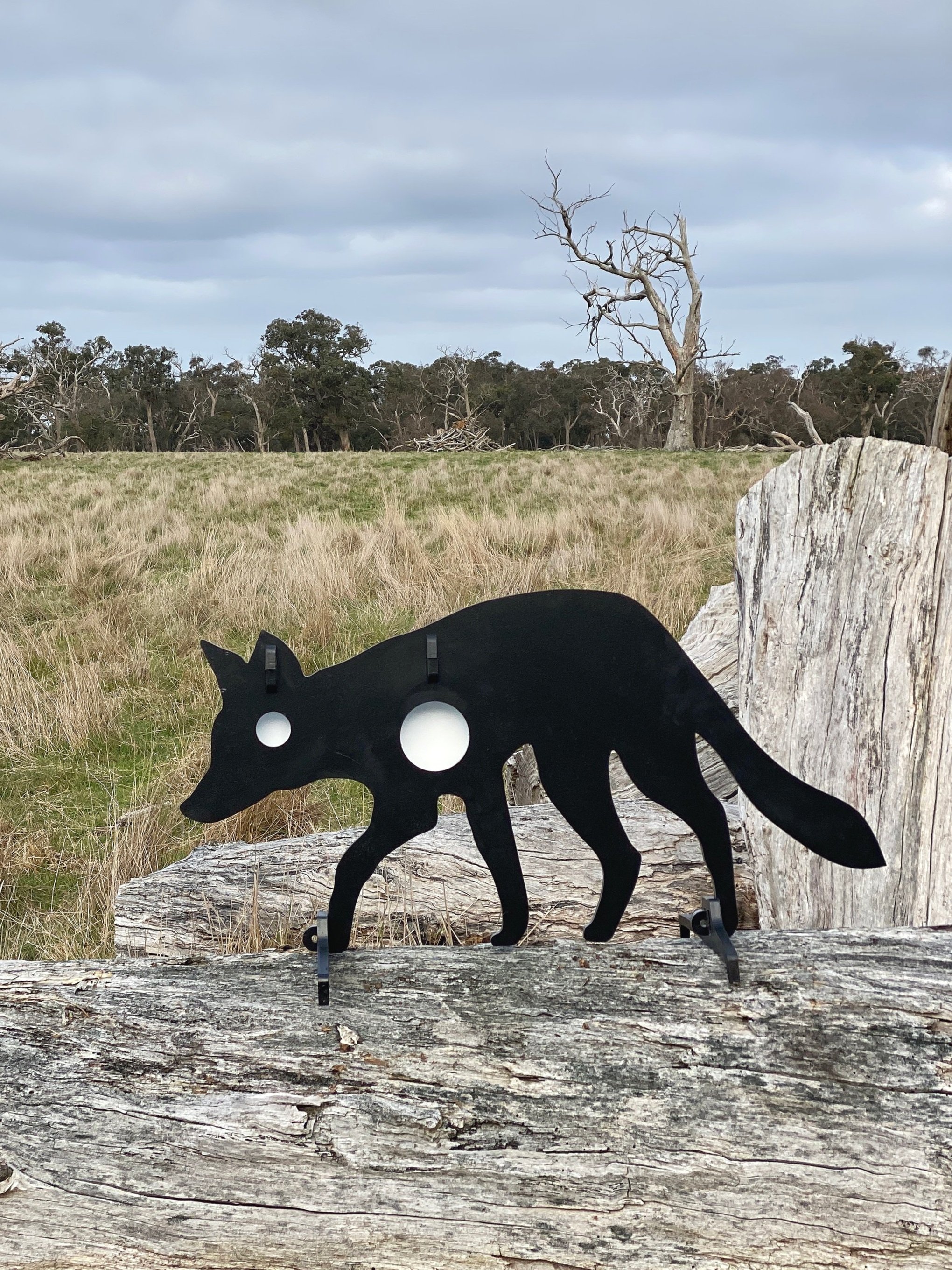Broadside Fox