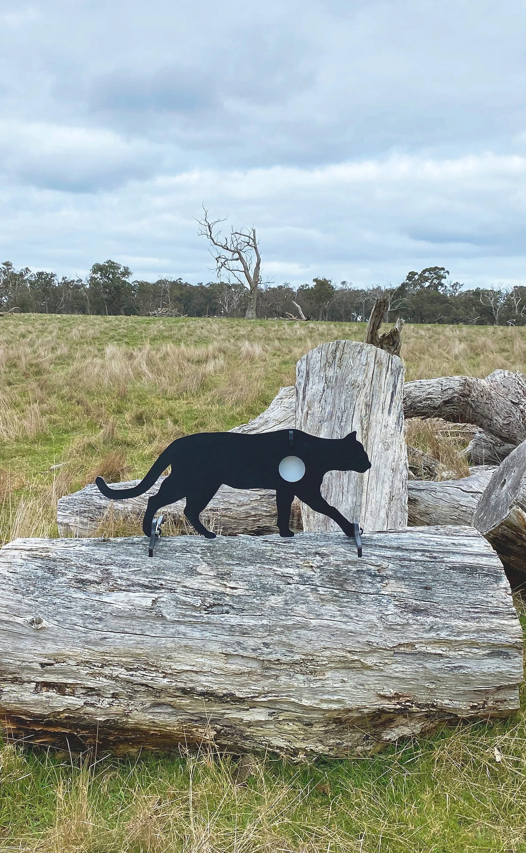 Otways Puma Target