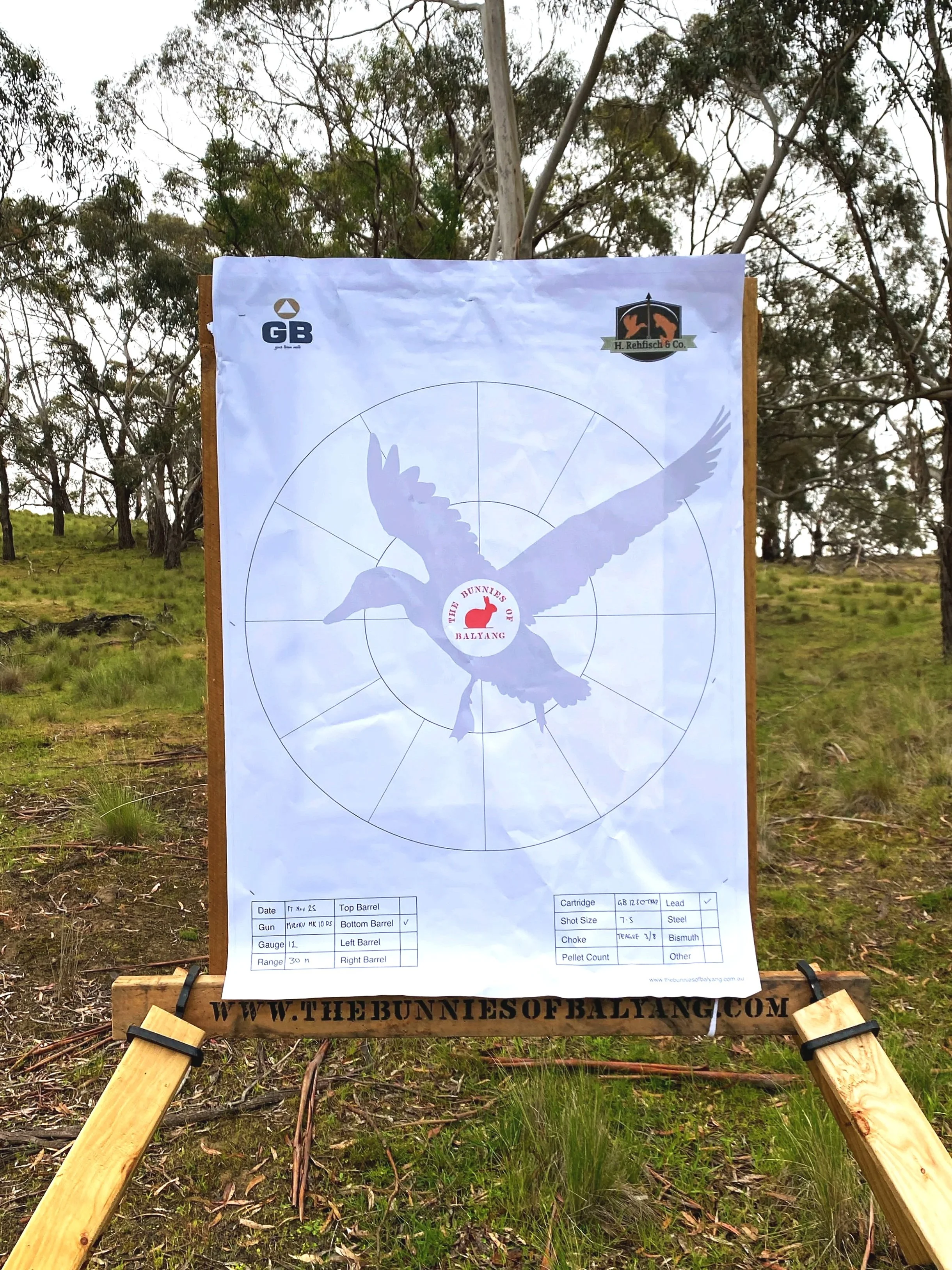 Shotgun Pattern Board Free Printable Download