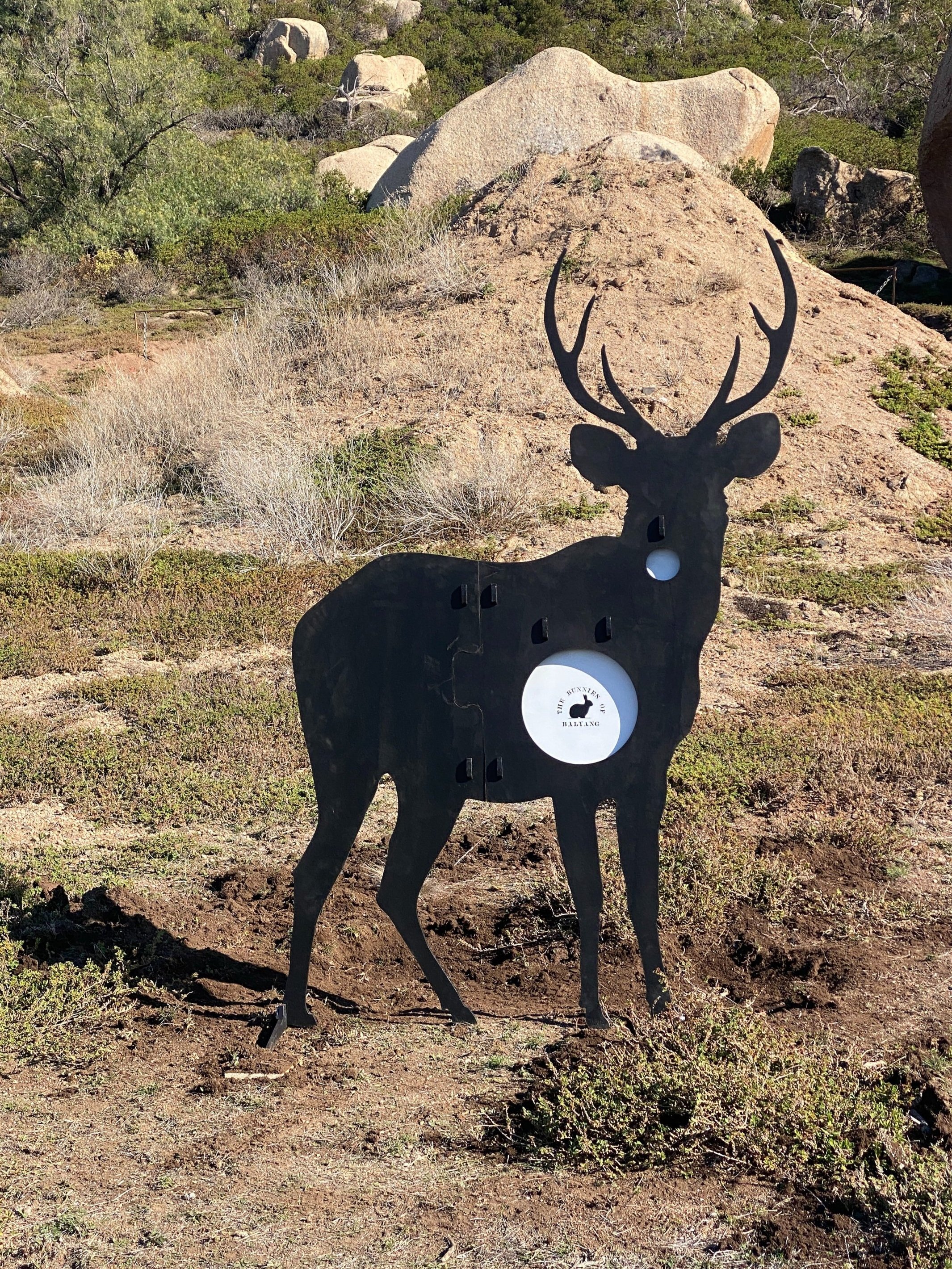 Sambar Deer Target