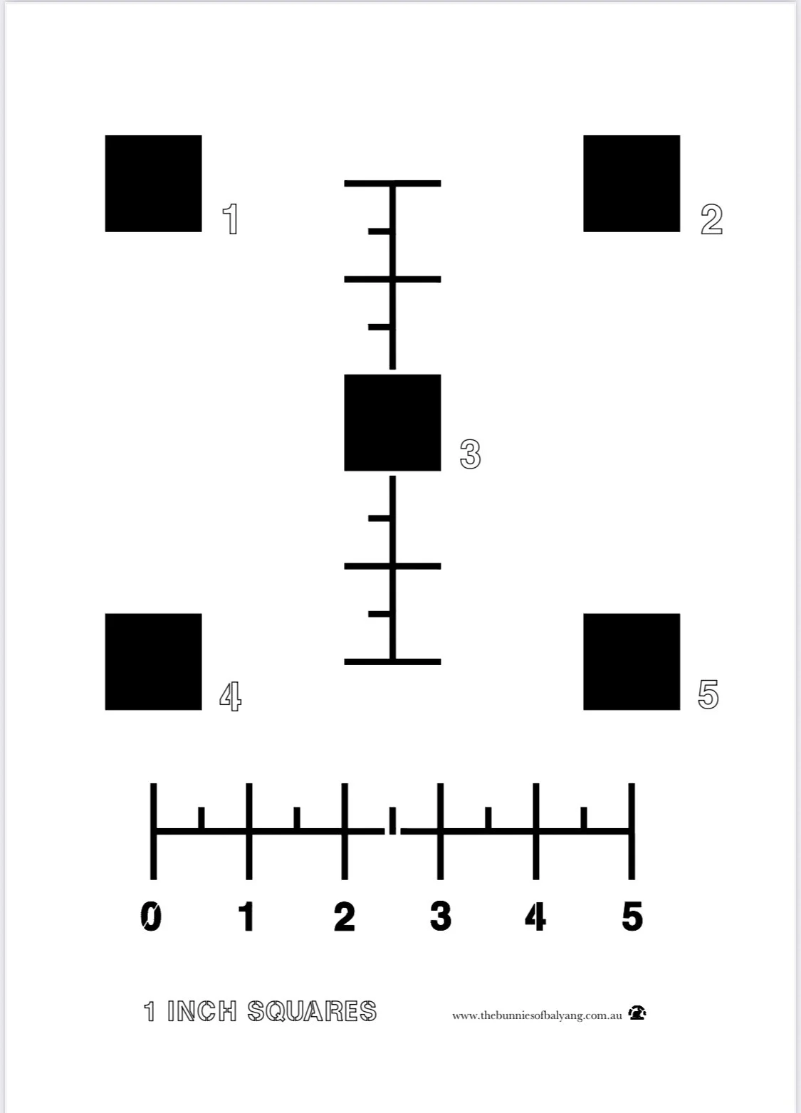 1 Inch Squares A4 Free Printable Download