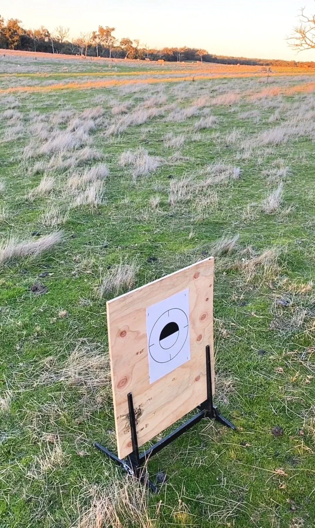 Multi Board Target Stand
