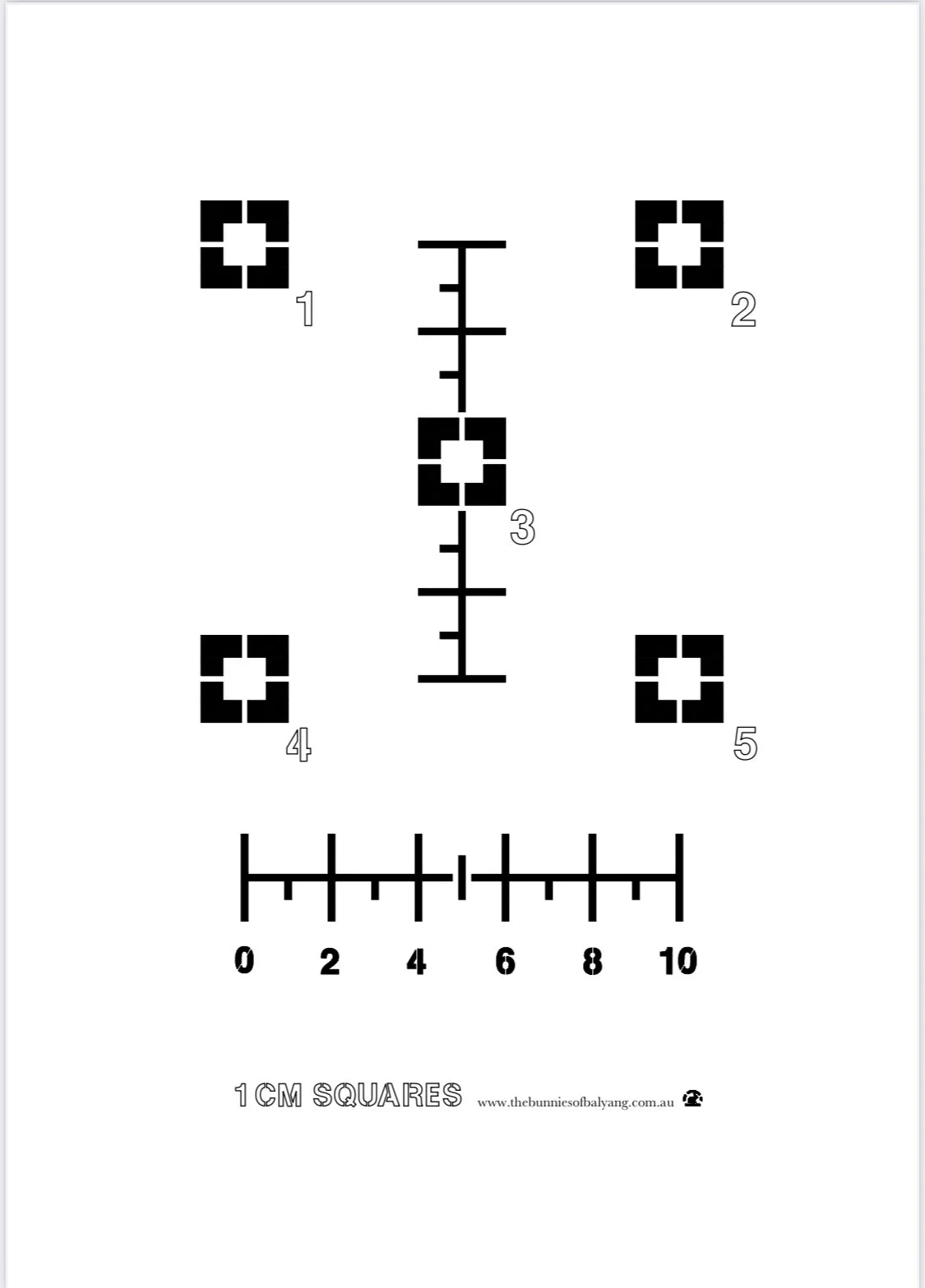 1 Centimetre Squares A4 Free Printable Download