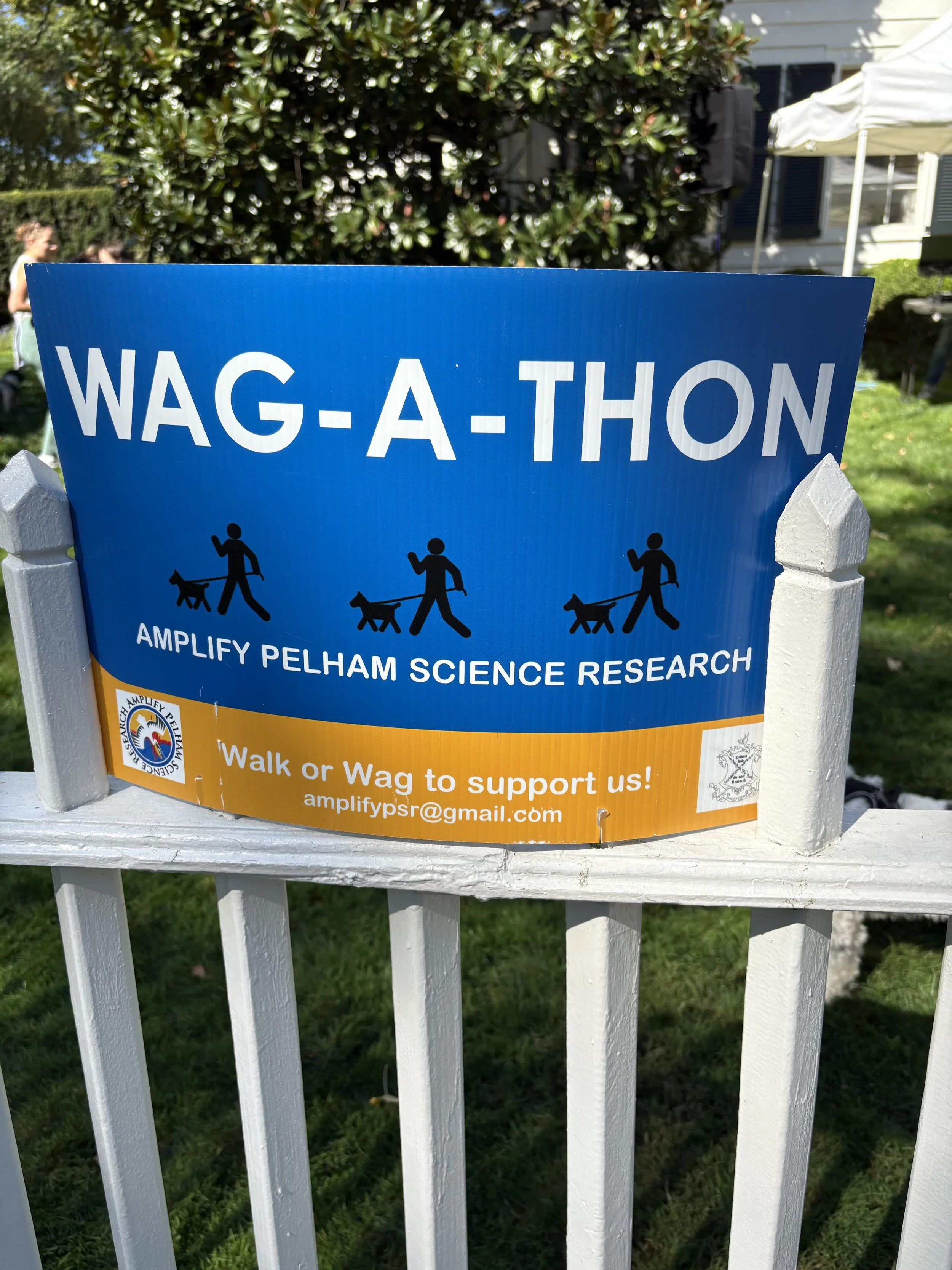 Wag-A-Thon 2025 Recap