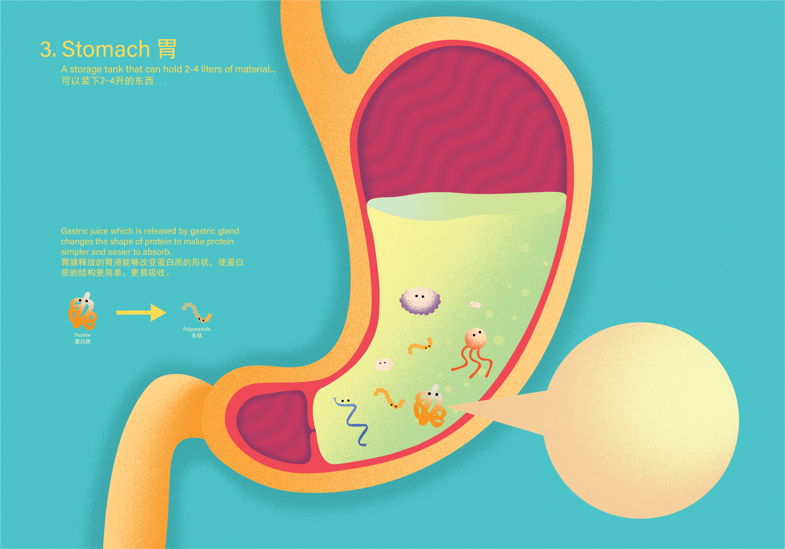 Pop-Up Book: Traveling Food