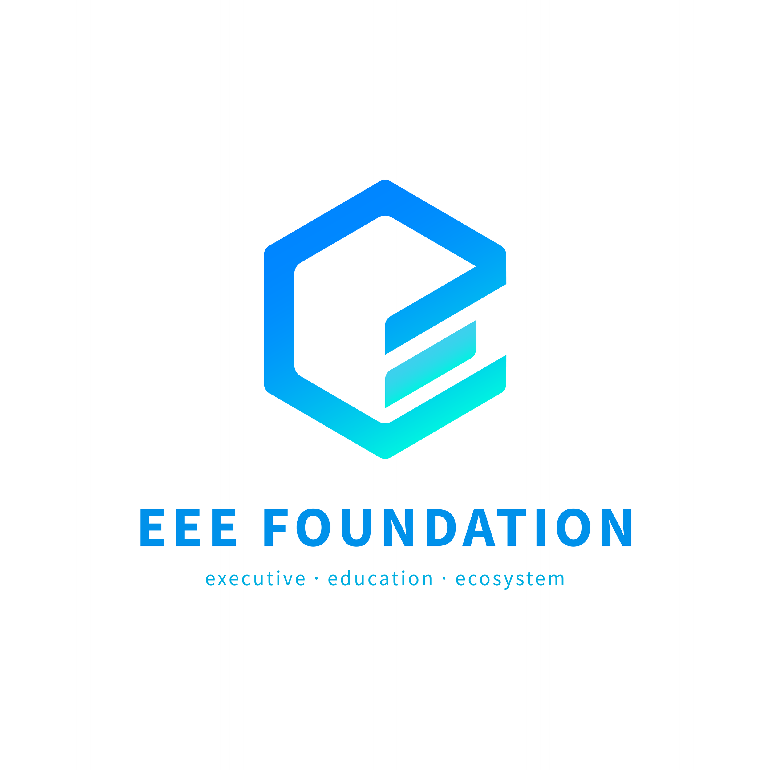 EEE FOUNDATION