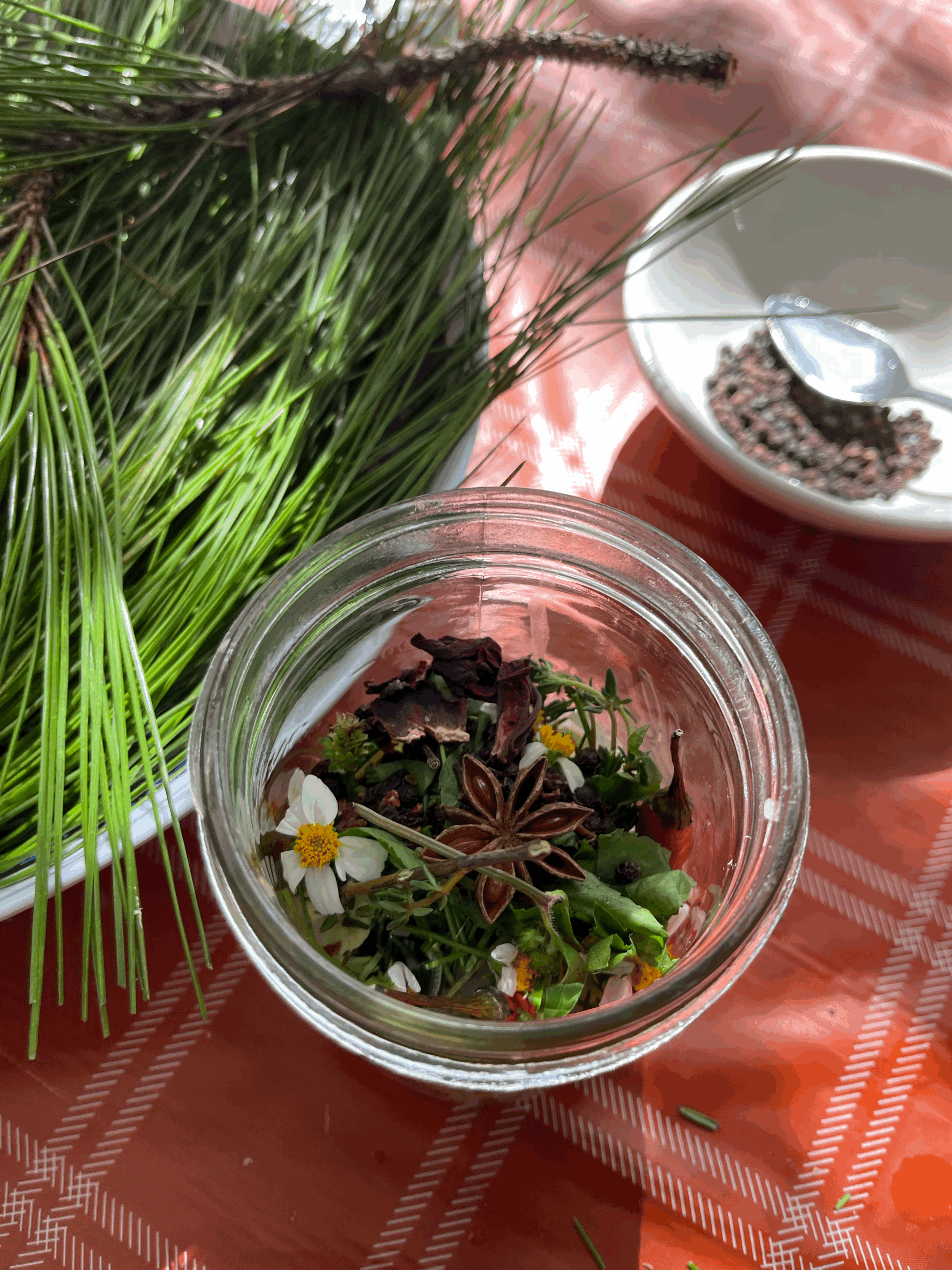 Herbalism at Home - Respiratory Care & Support