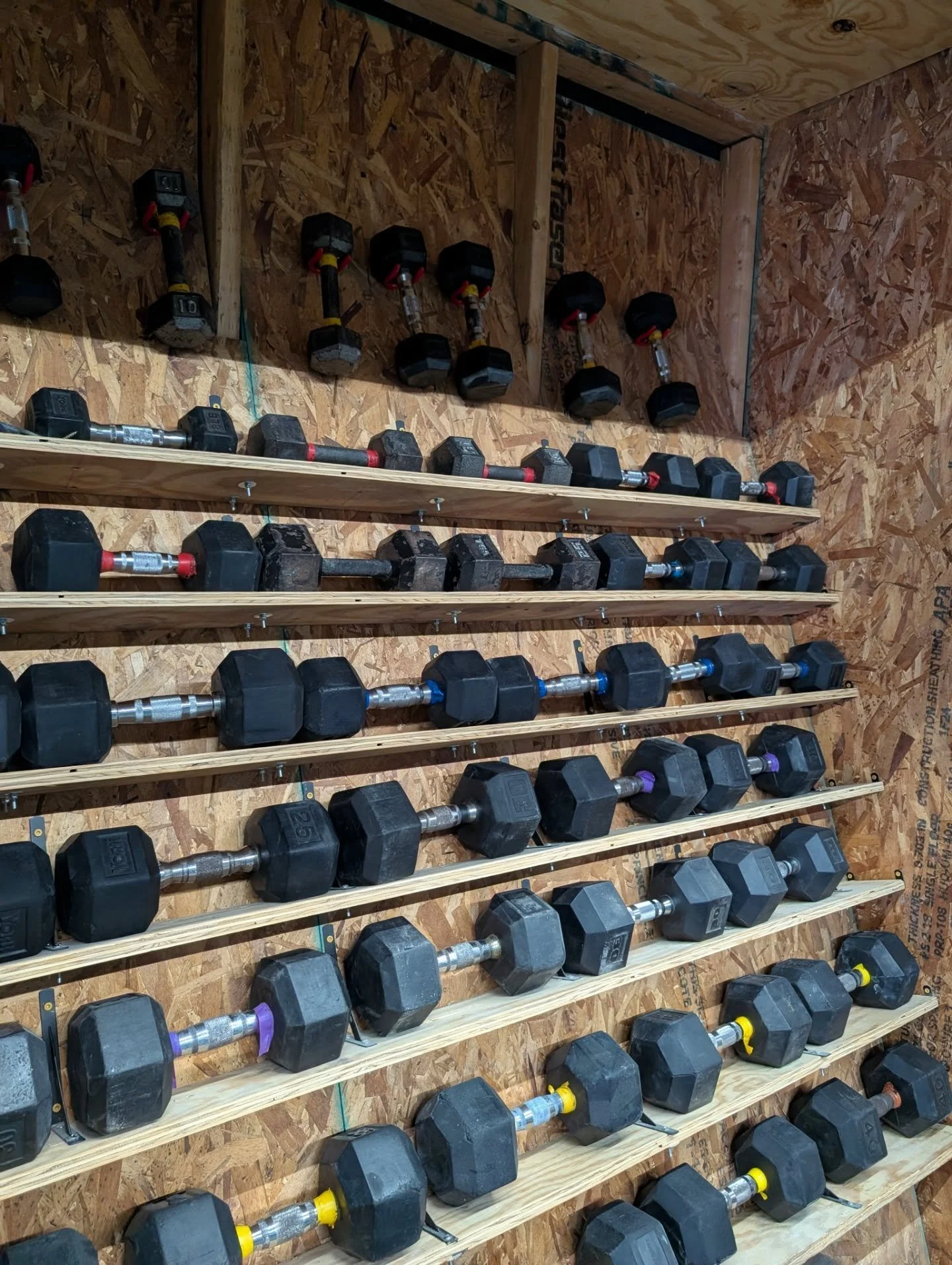 Could we interest you in a dumbbell? The '35 vintage is particularly flavorful with notes of citrus 💙💚. Renovation loading...
.
#fitness #dumbbells #winecellar @crossfitaffiliatesnortheast