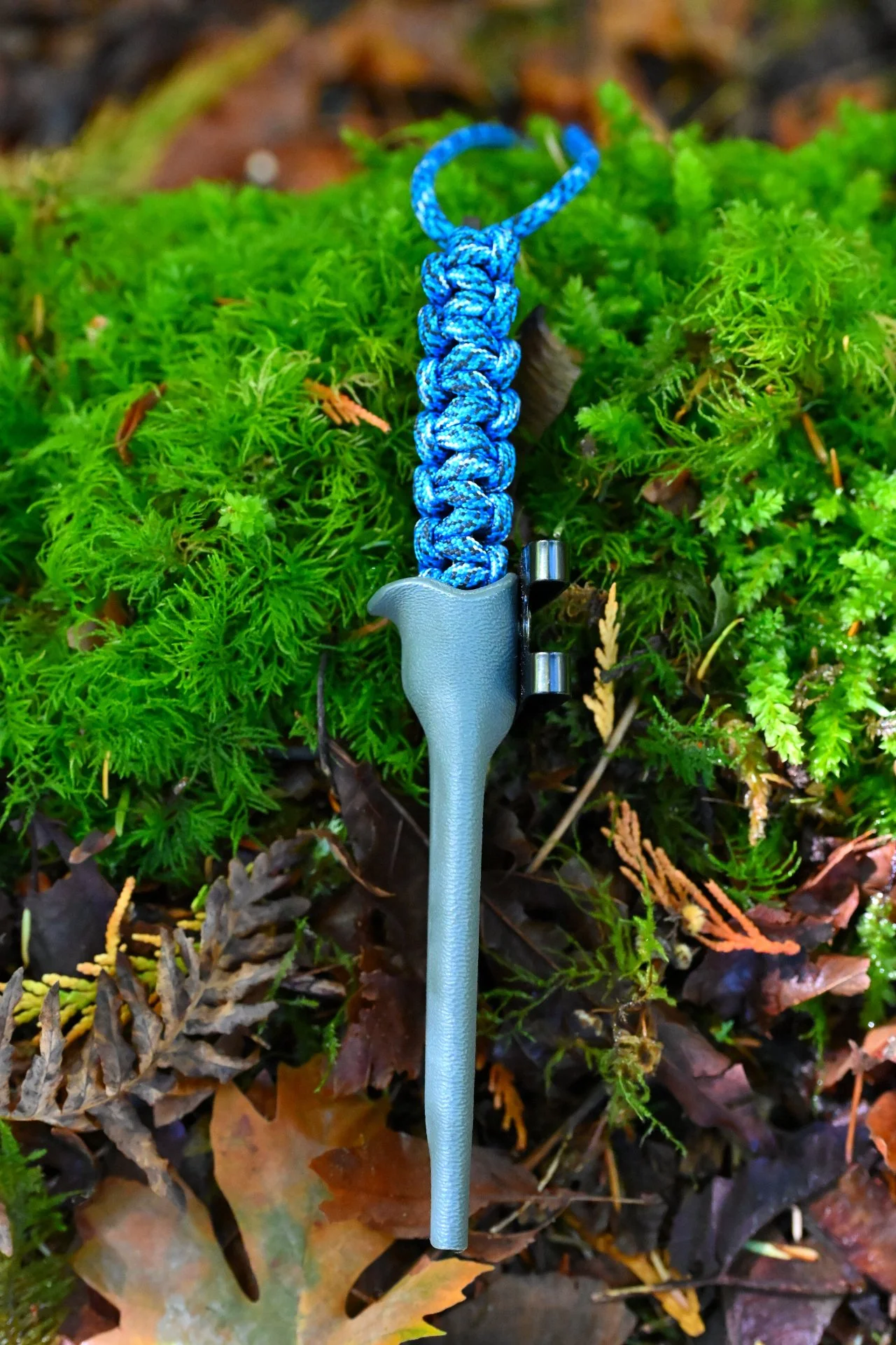 DSC_5219.JPG