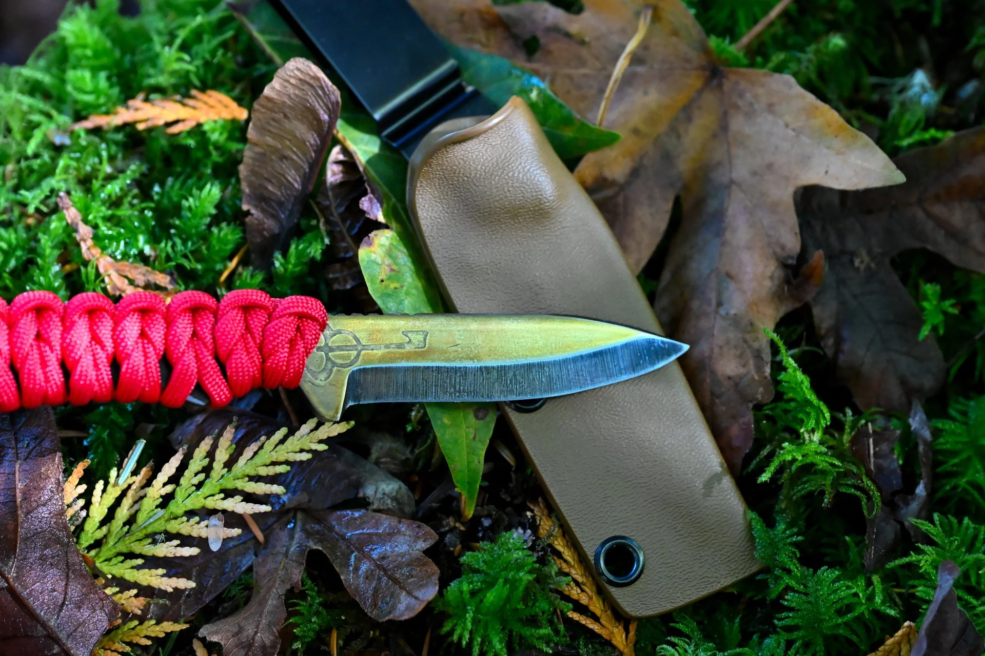 Superior (12).JPG