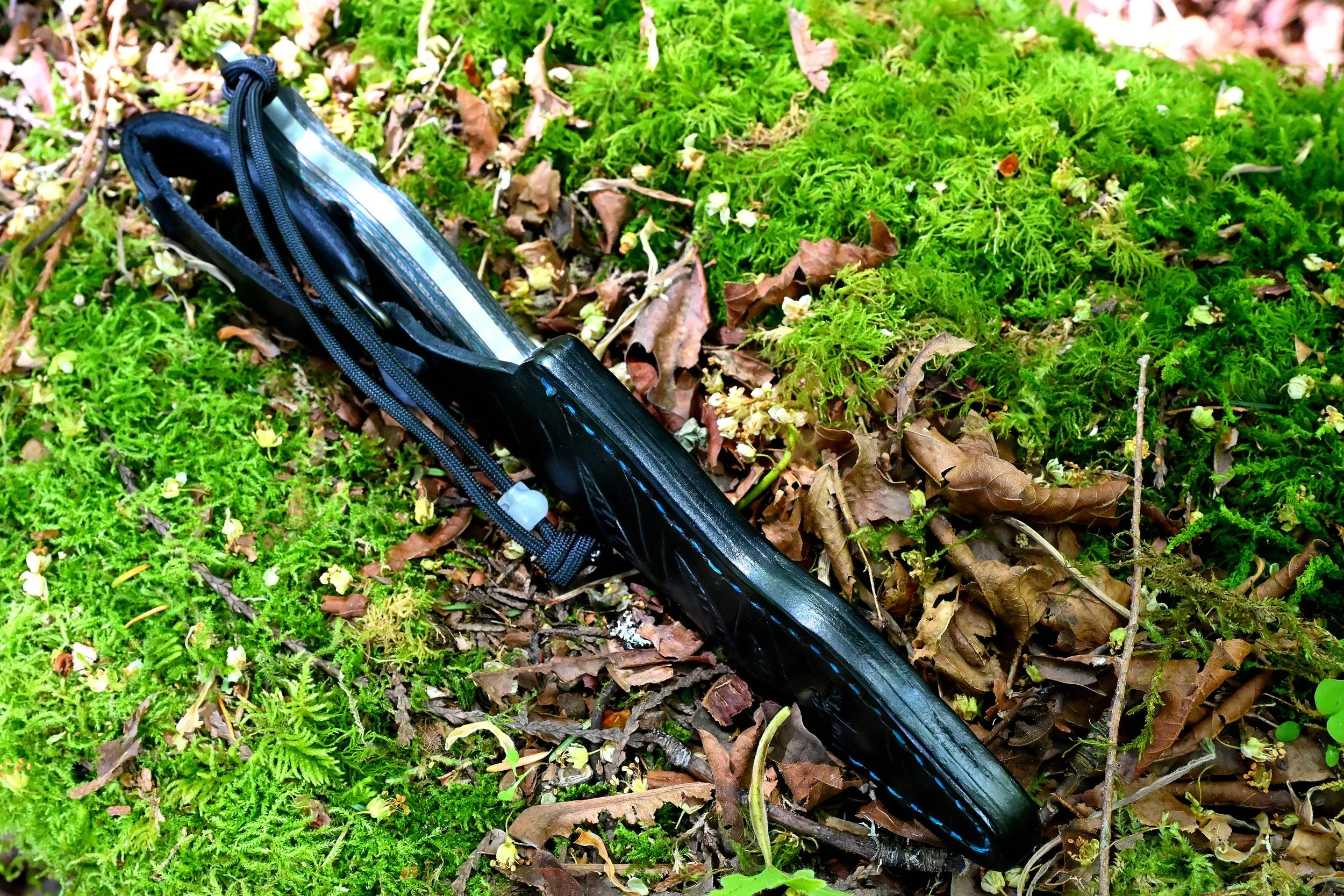 DSC_0514.JPG