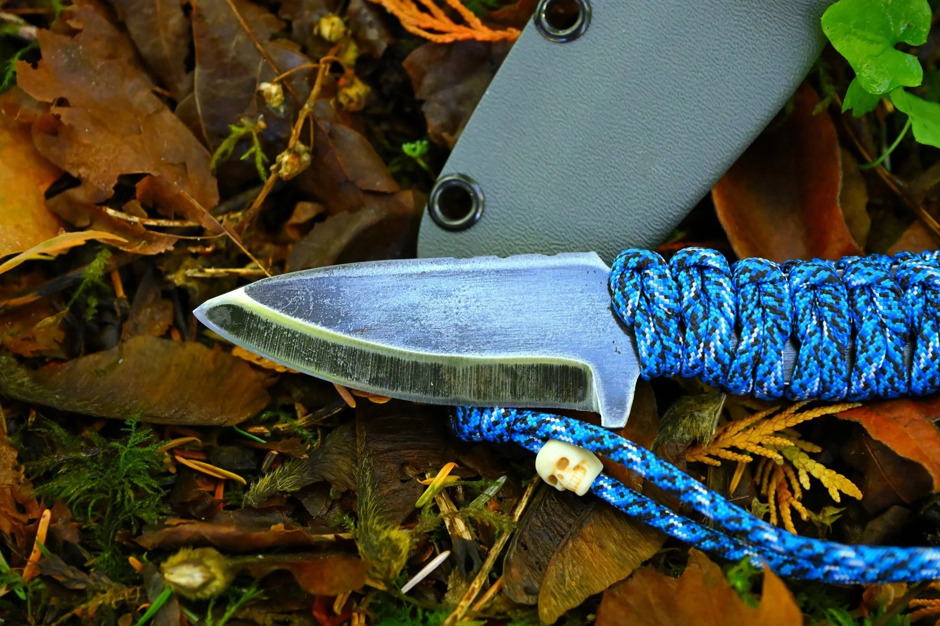 DSC_5229.JPG