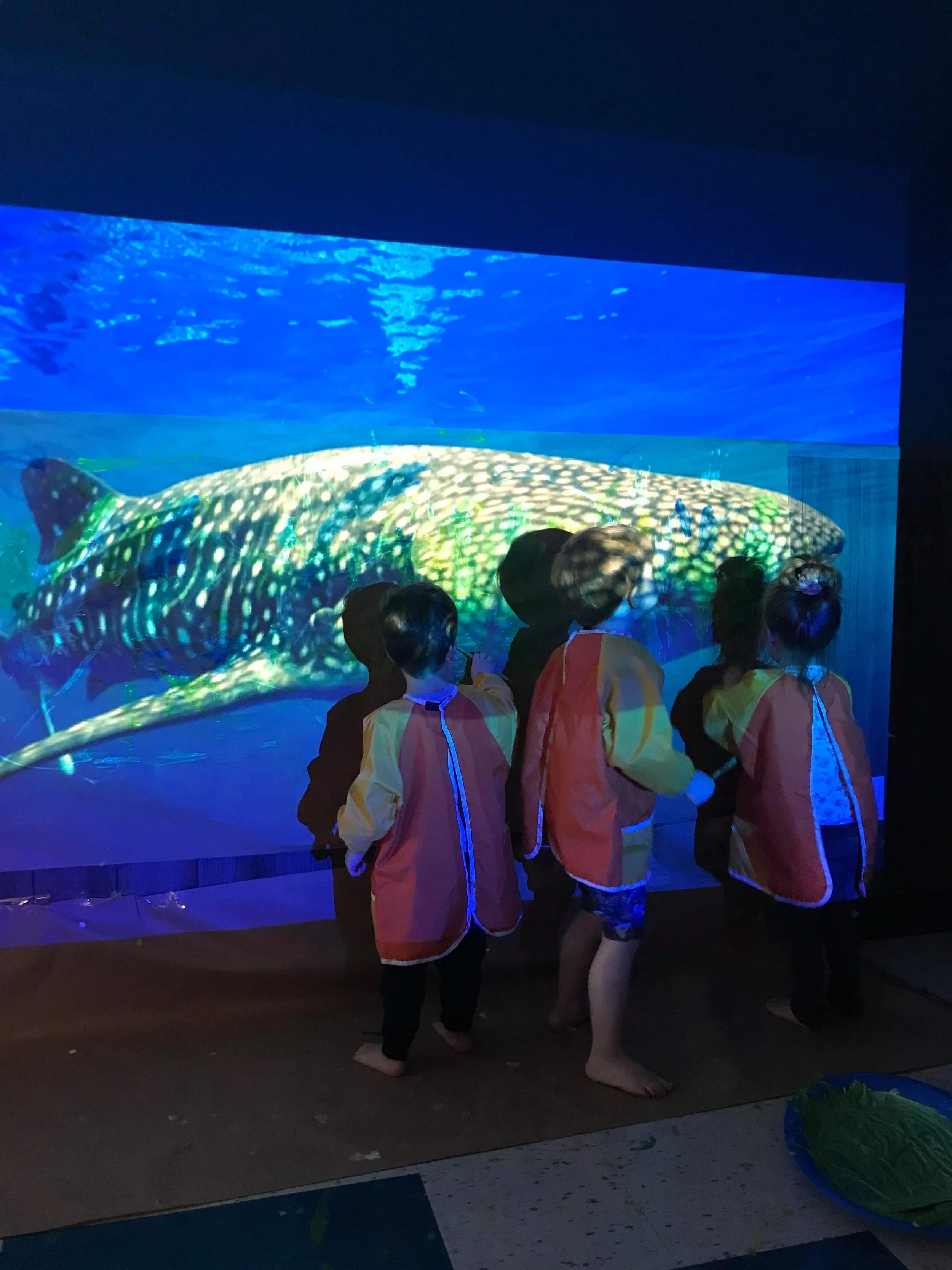 IMG_5407D16230D3-1.jpeg