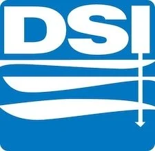 DSI Logo.jpeg