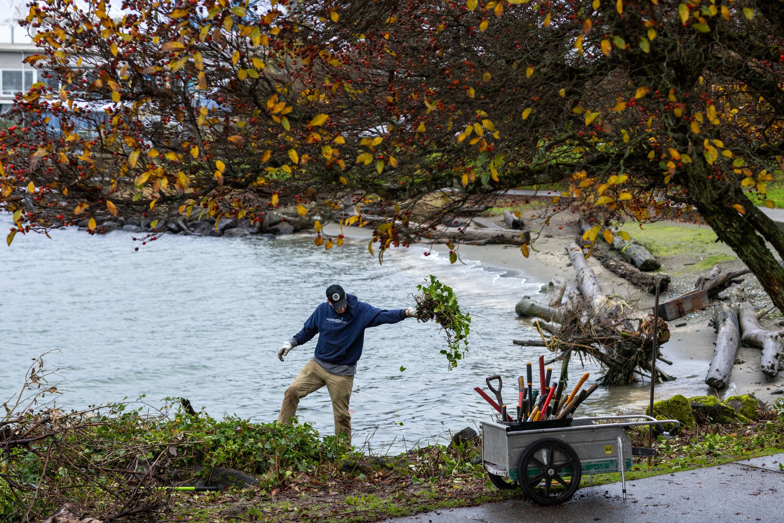 Seacrest Park, Cove 1