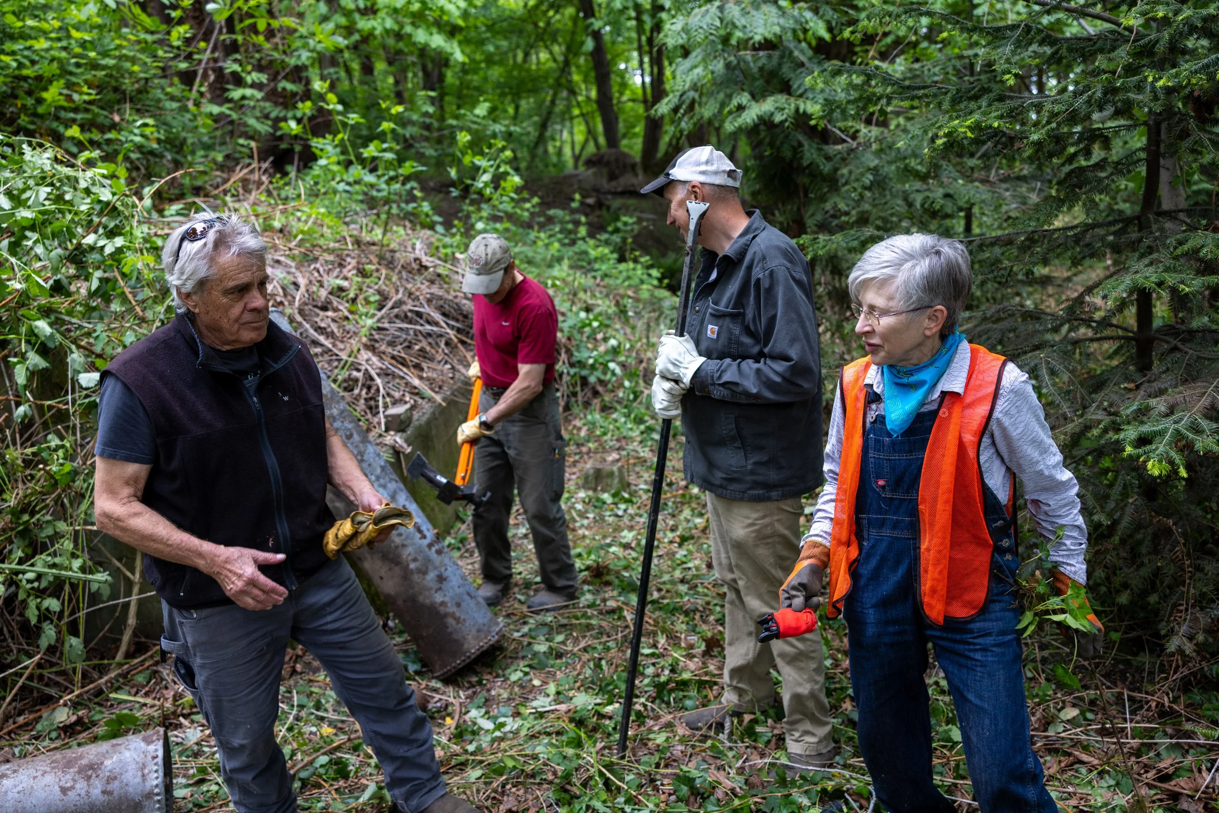 Duwamish Head Greenspace