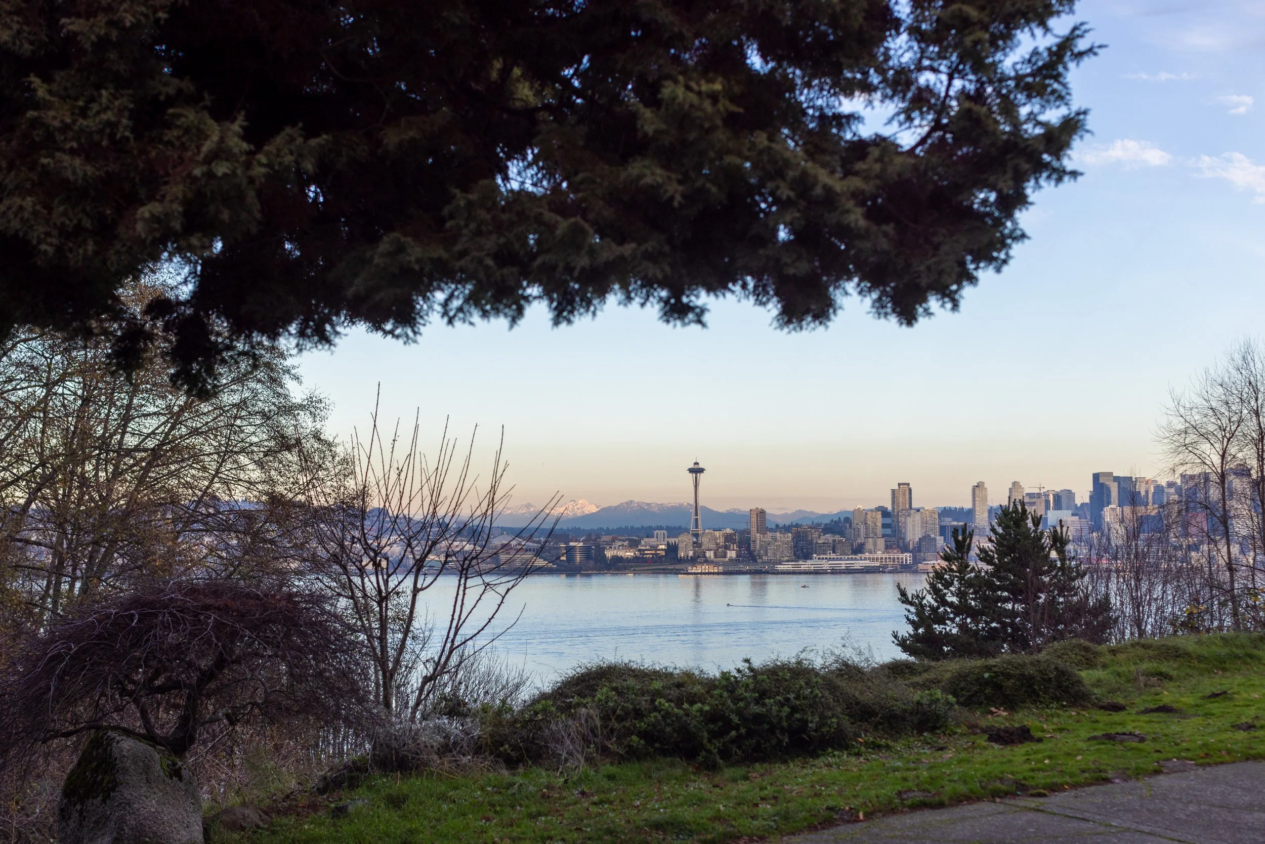 Hamilton Viewpoint — A Cleaner Alki