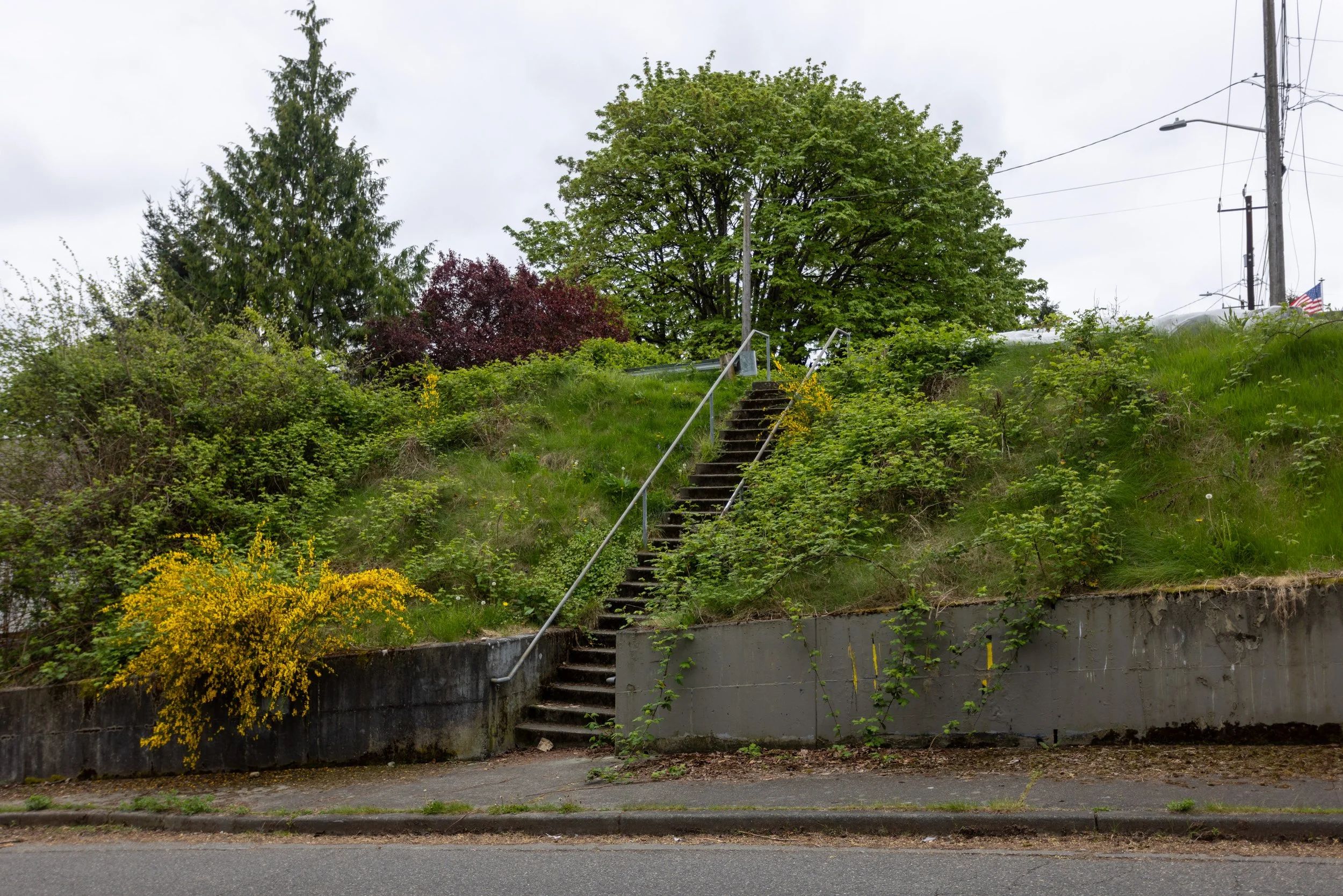 Alanna’s Neighborly Spruce