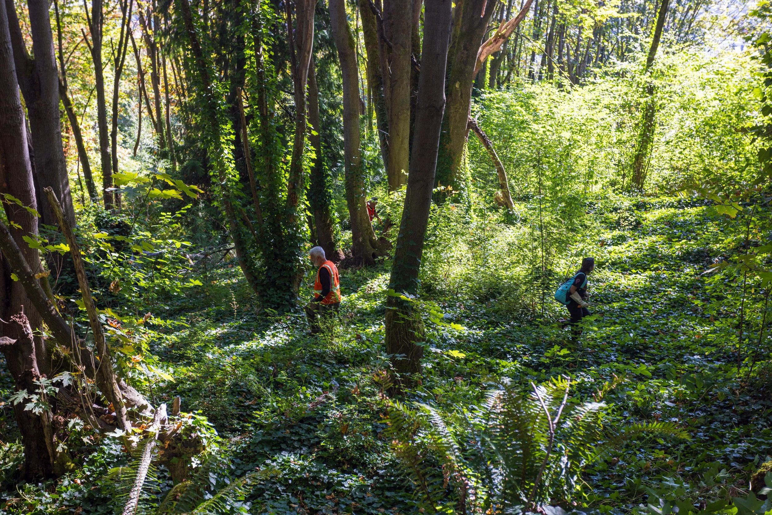 Duwamish Head Greenspace