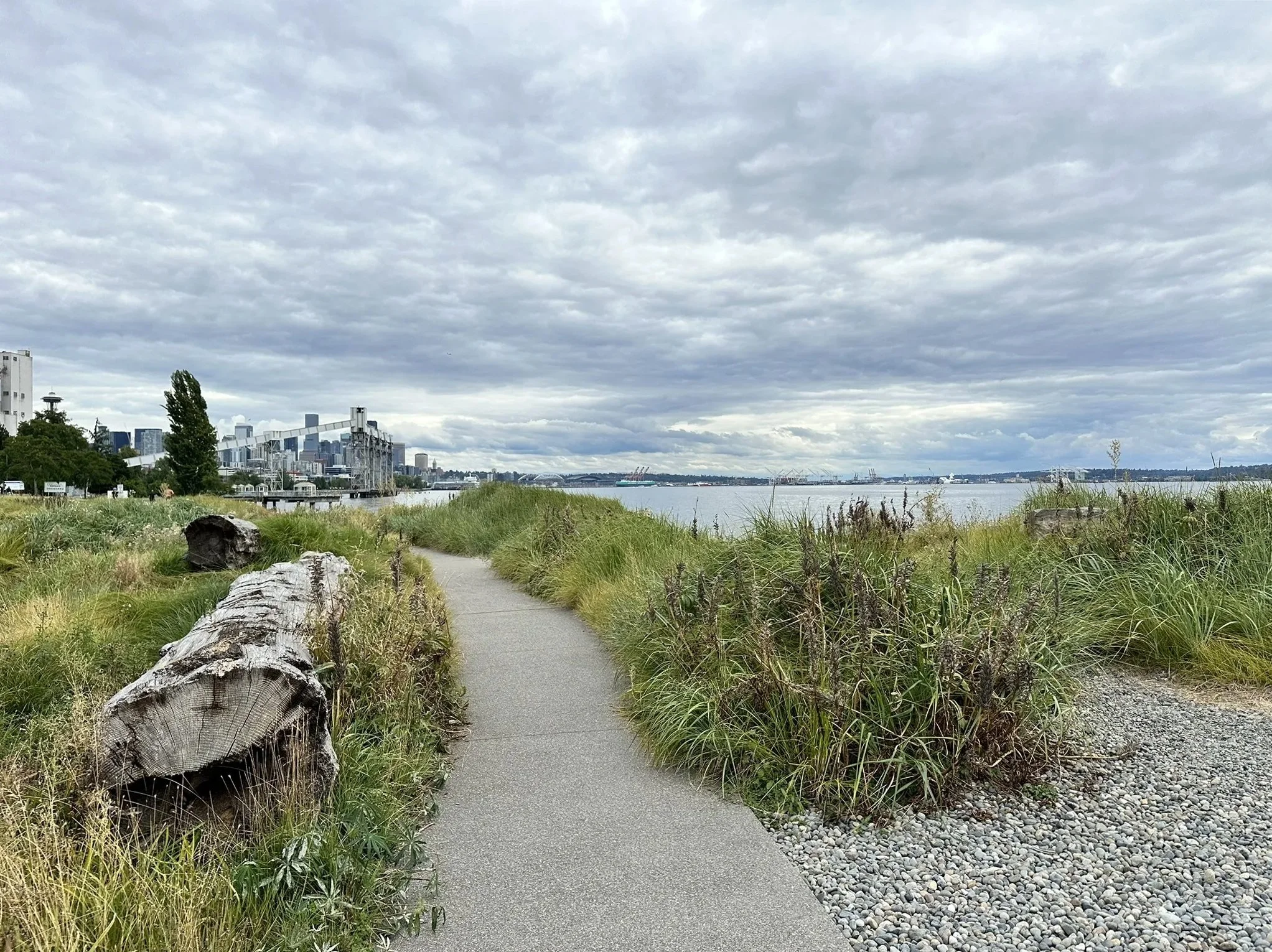 Myrtle Edwards Park
