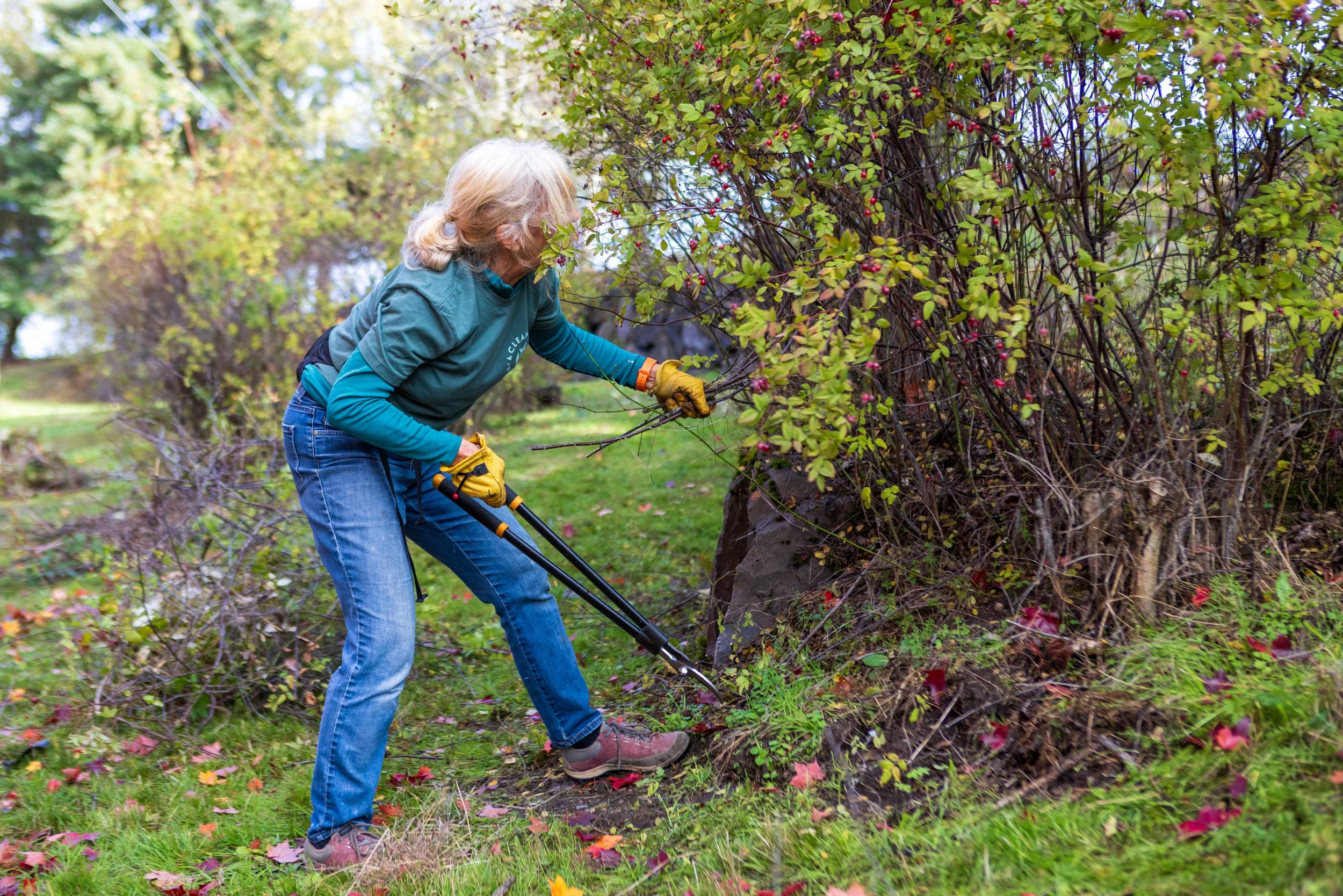 Harbor Ave. / Alki Trail