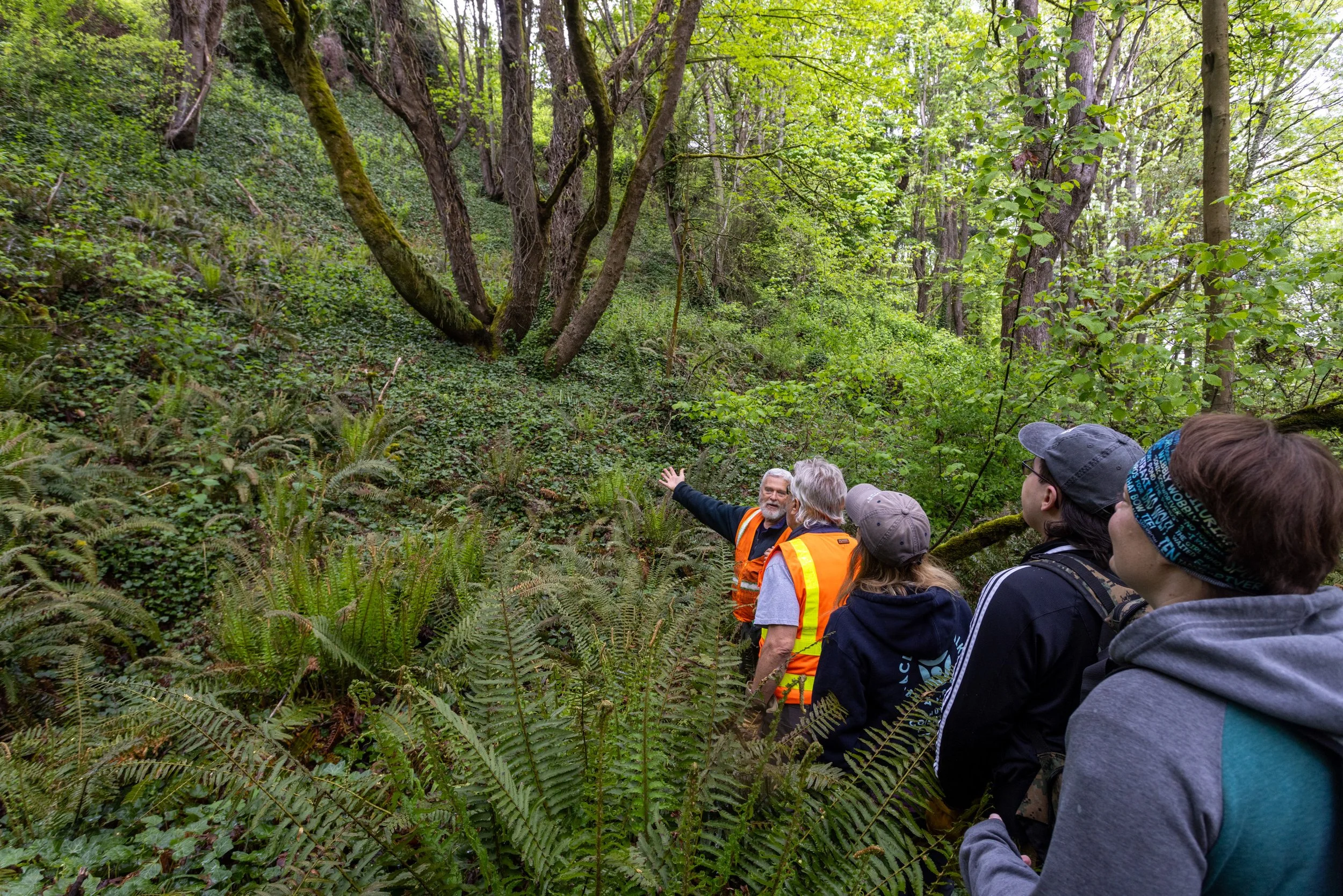 Duwamish Head Greenspace