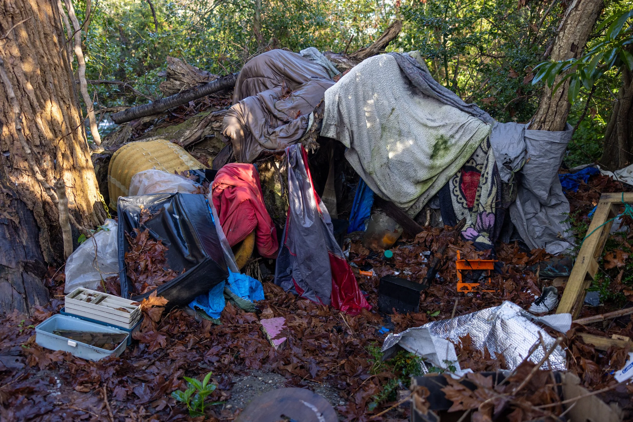 Native Family Learning Lodge Cleanup, Day 1