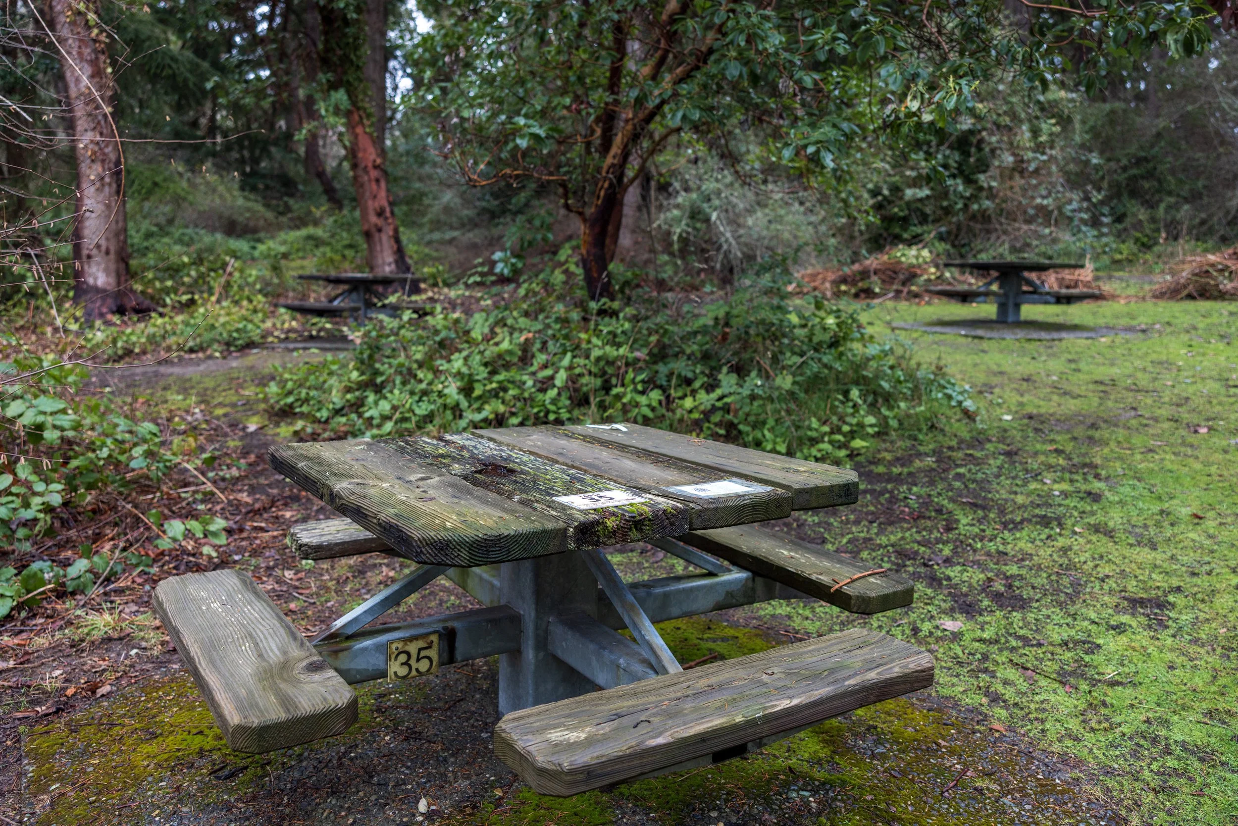 Lincoln Park / Picnic Area 2