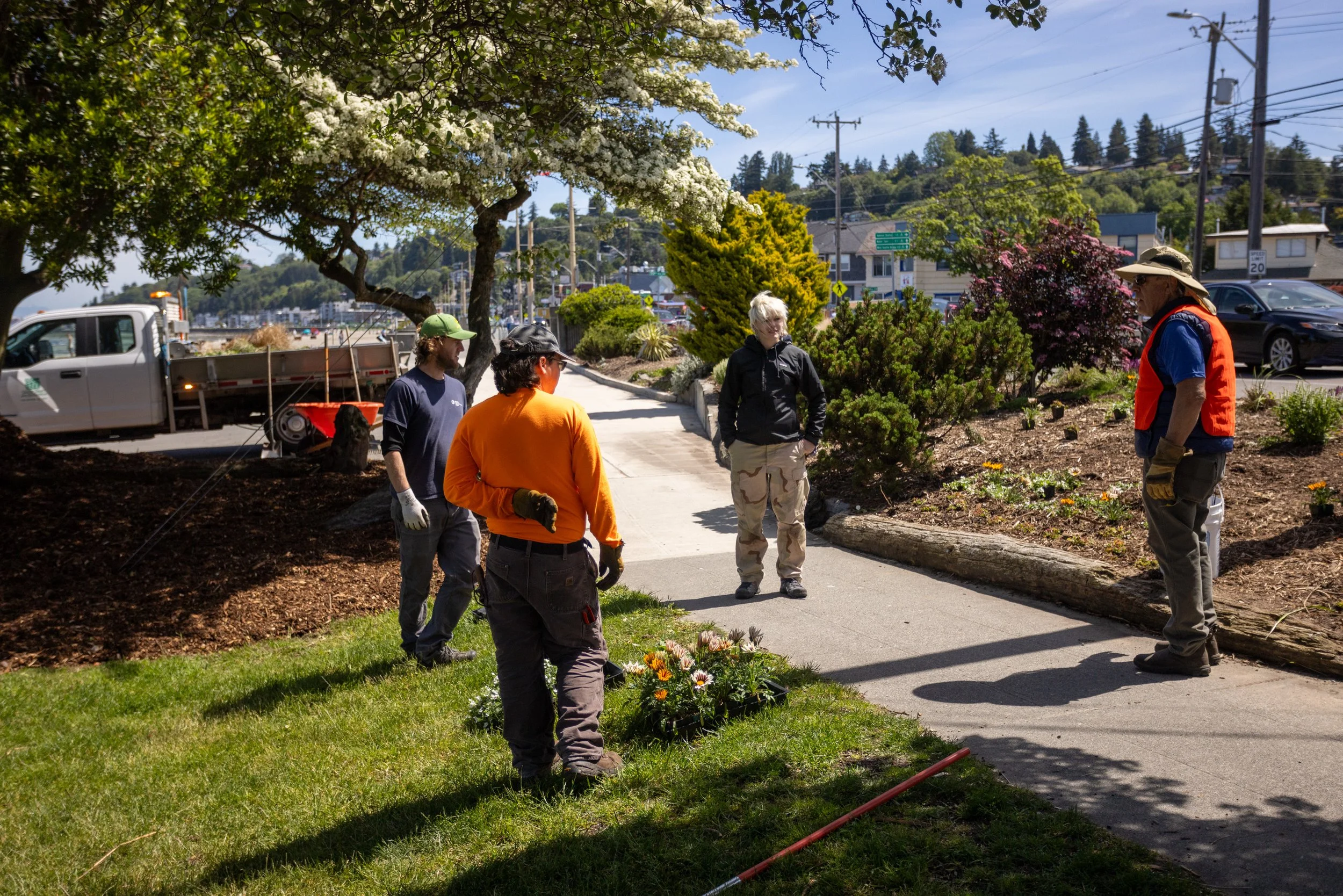 Alki Beach / Park Cleanup