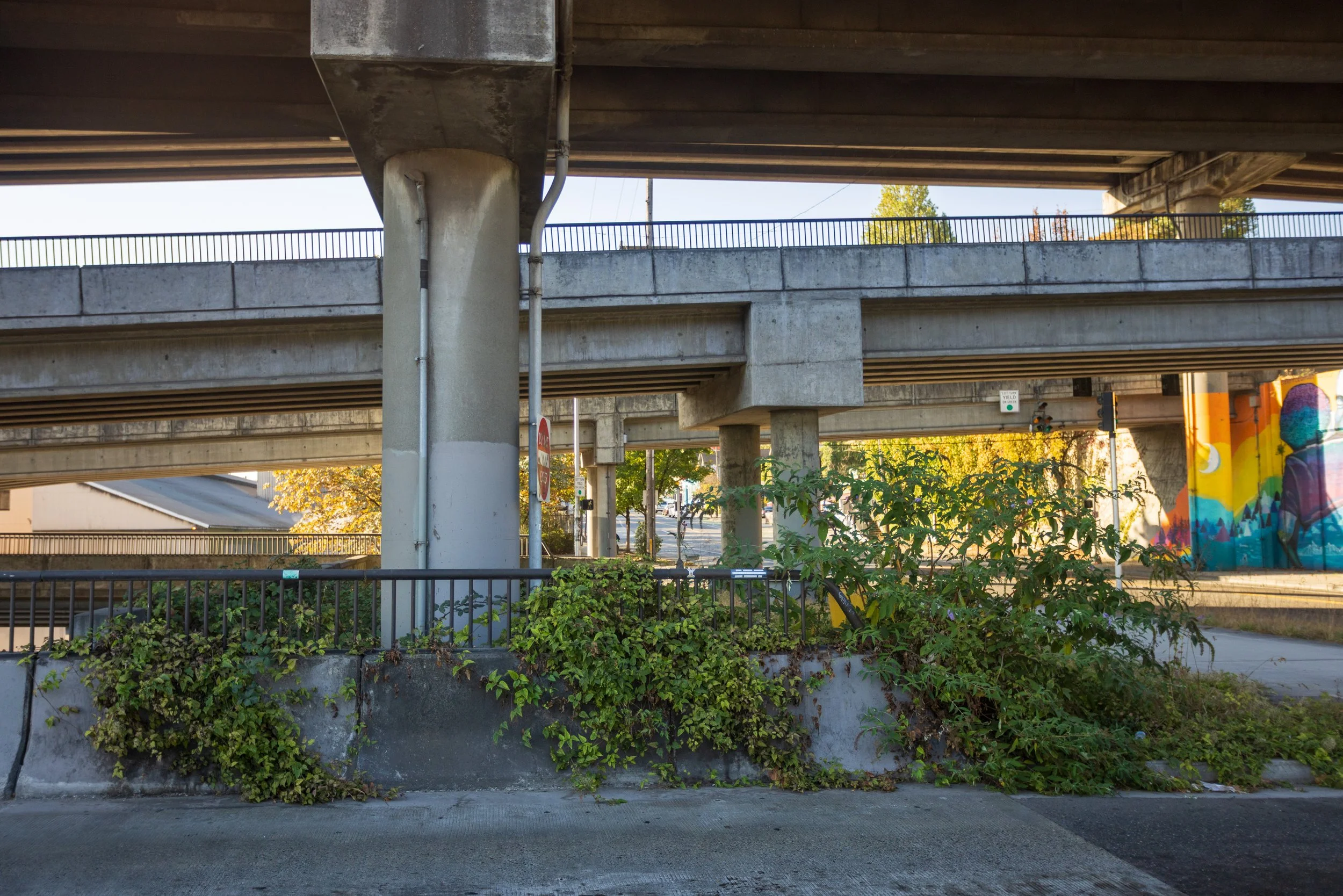 Harbor Ave. / Alki Trail