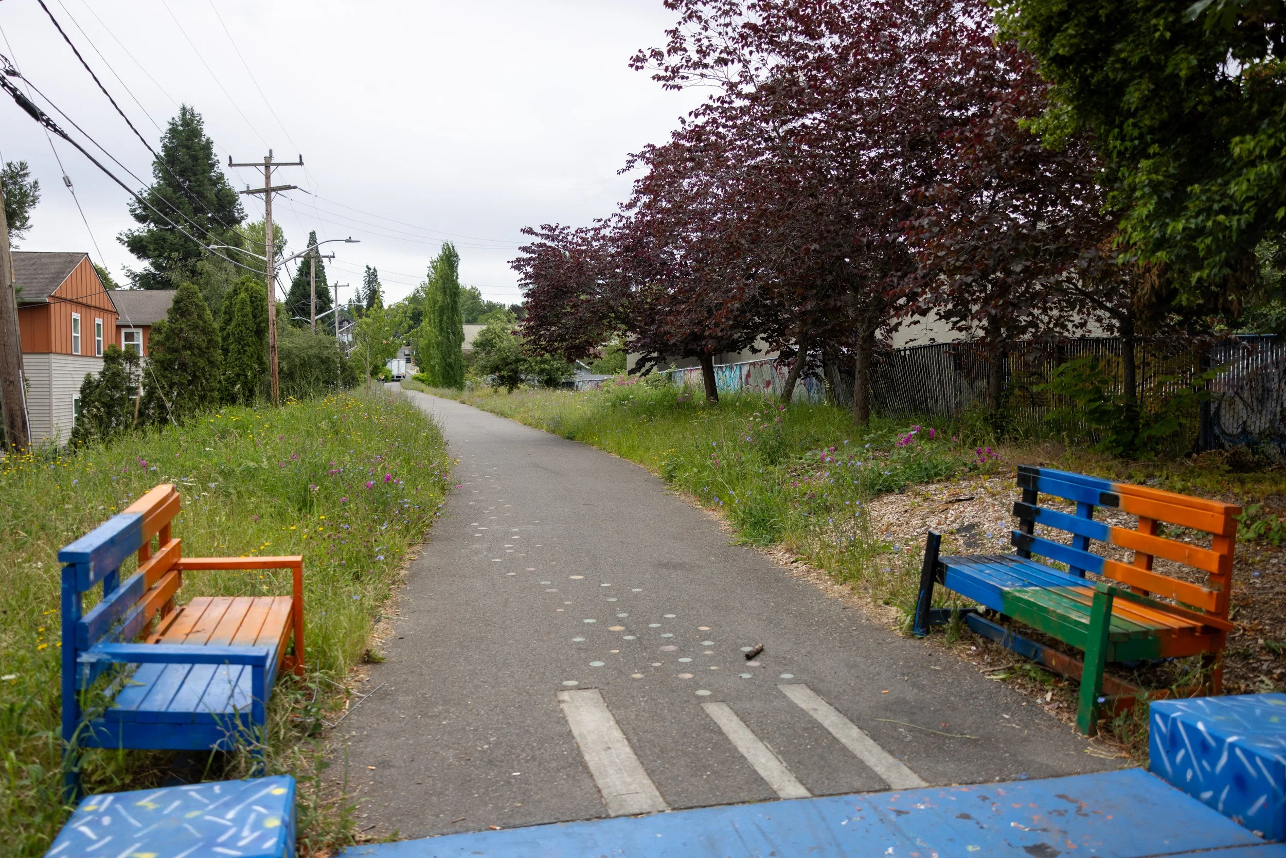 S. Henderson / Spruce