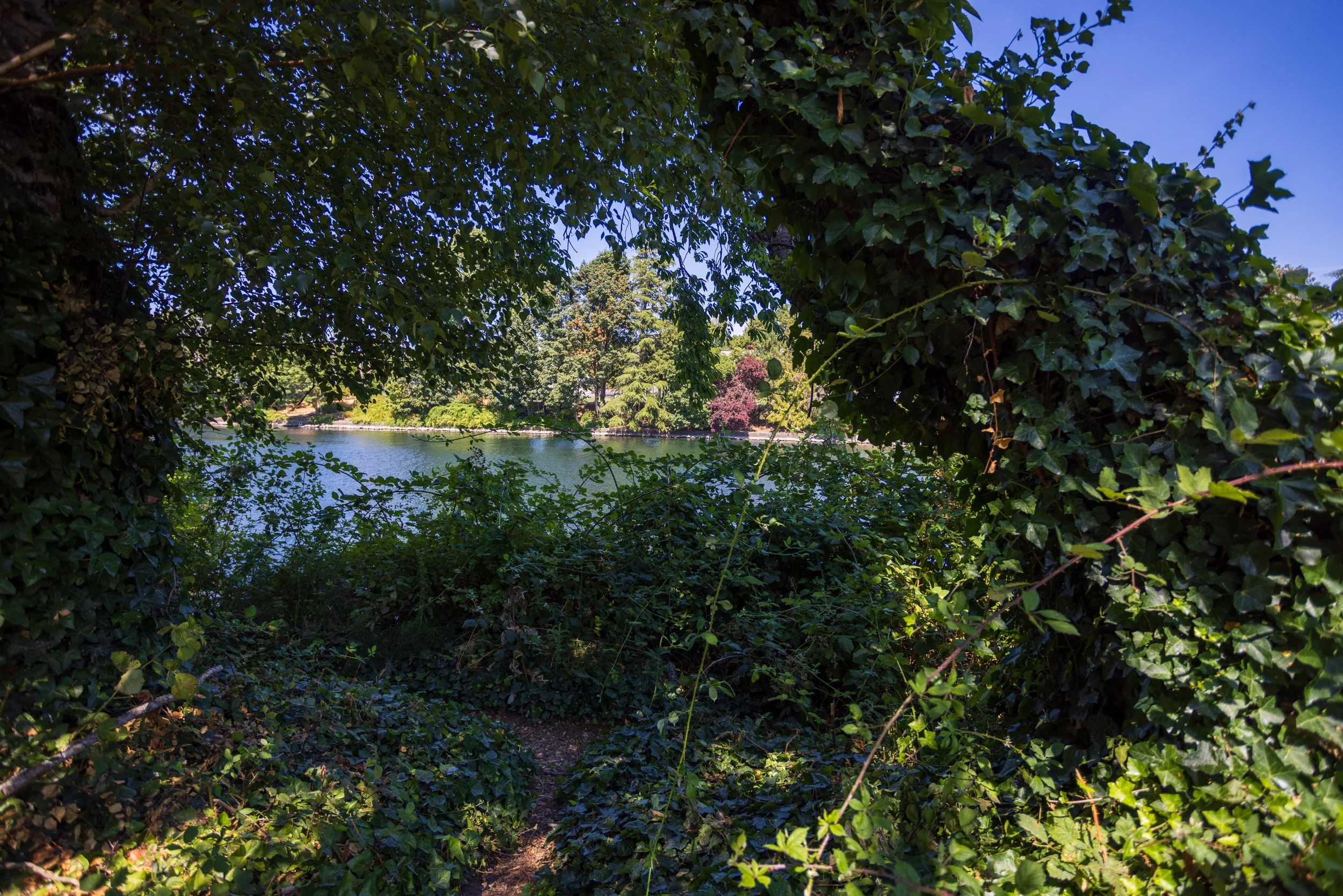 Ship Canal / Park Cleanup