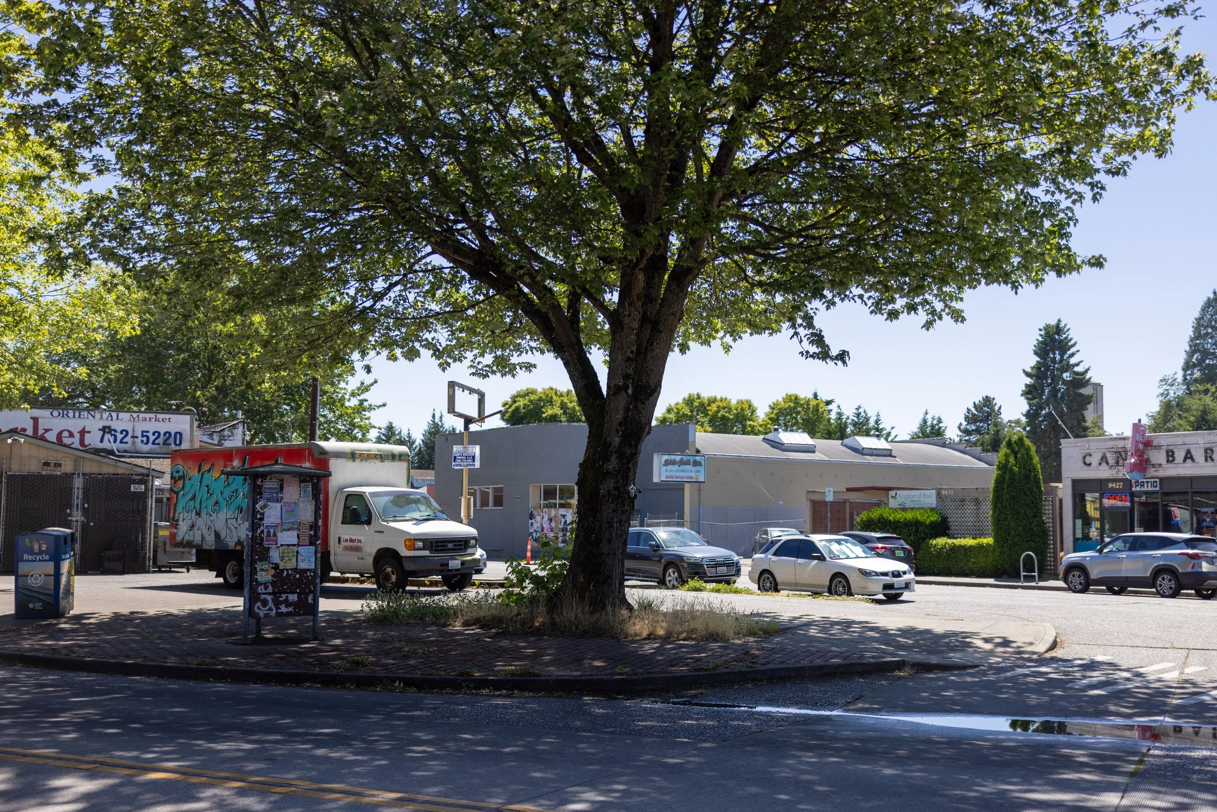 White Center / Spruce
