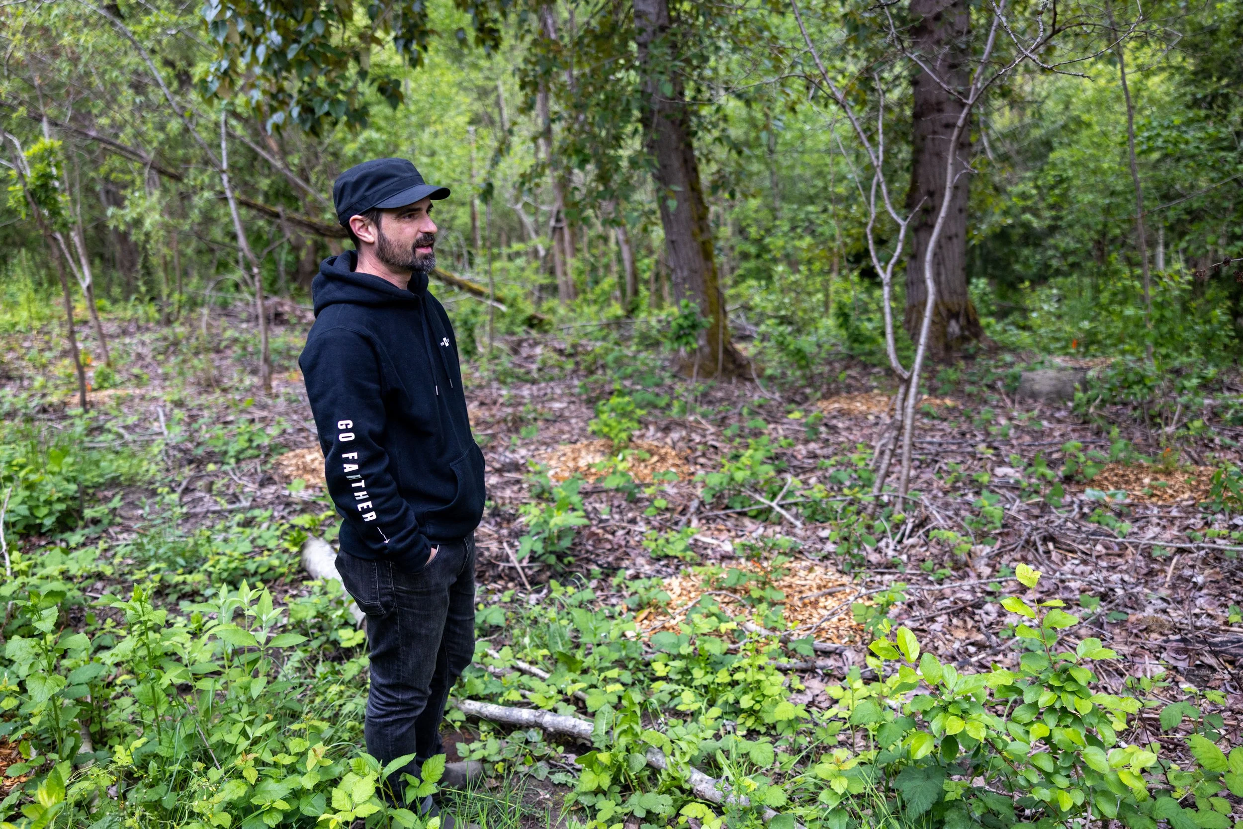 Longfellow / Forest Steward