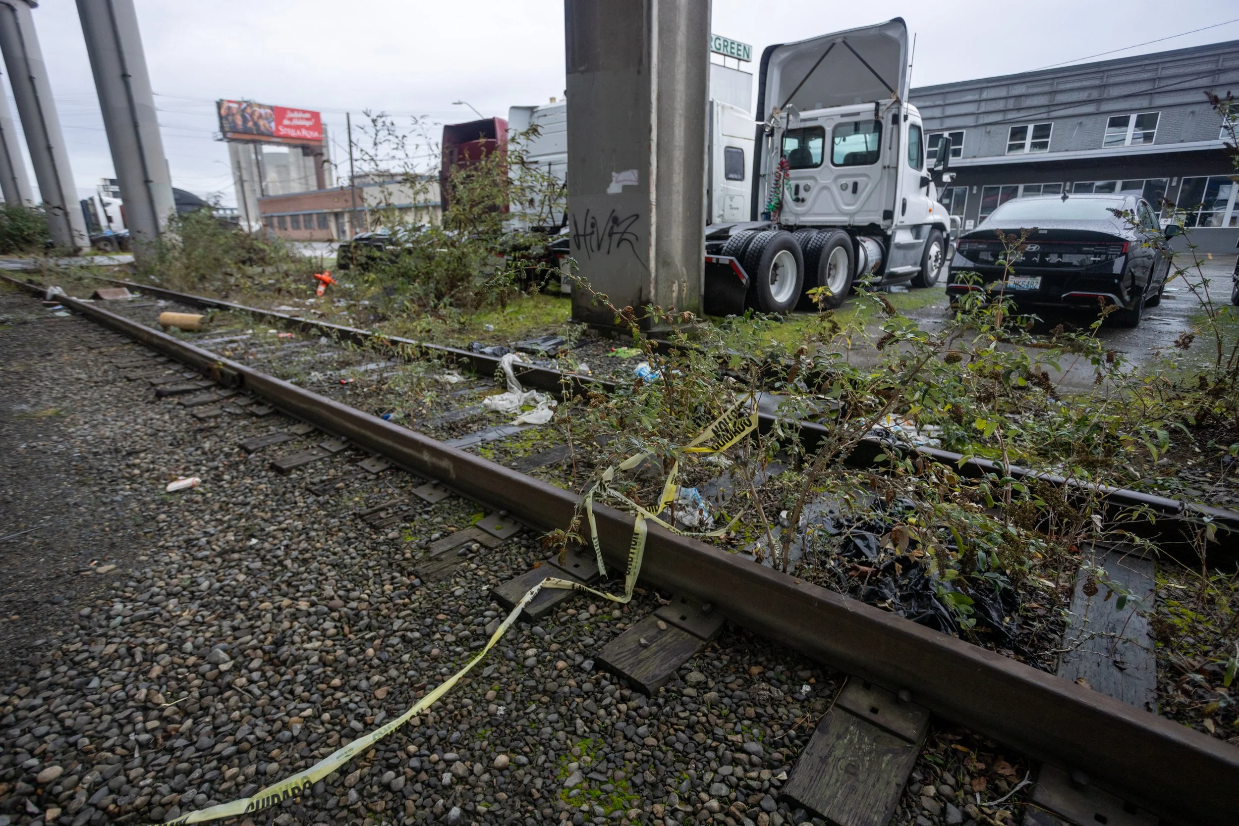 East Marginal Cleanup