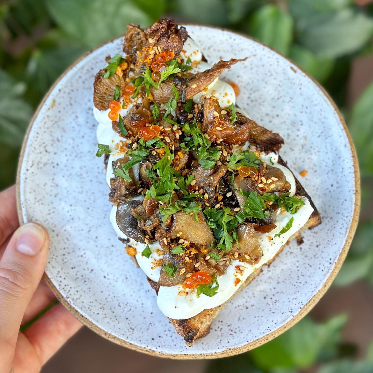 a dish so good that it will even please the mushroom haters✨new whipped ricotta toast with a roasted mushroom salad, miso, apple balsamic, sesame &amp; smoked trout roe 🍄
&bull;
#bostoneats #bostoneater #bostonfoodjournal #bostonfoodguide #bostonfoo