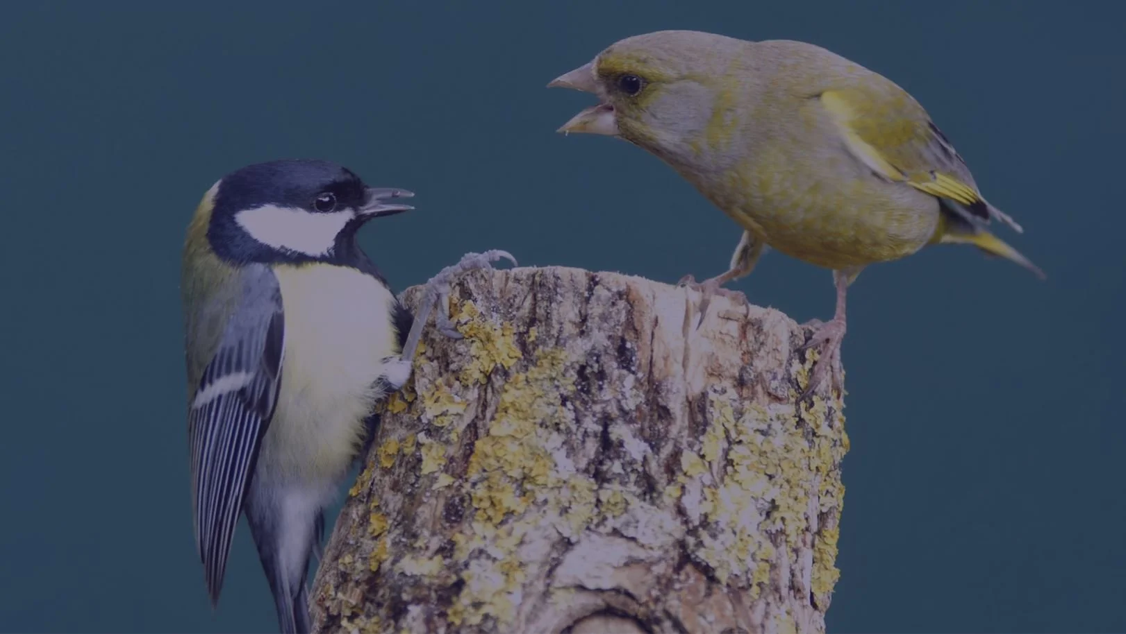 2 simple rules for extraordinary communication