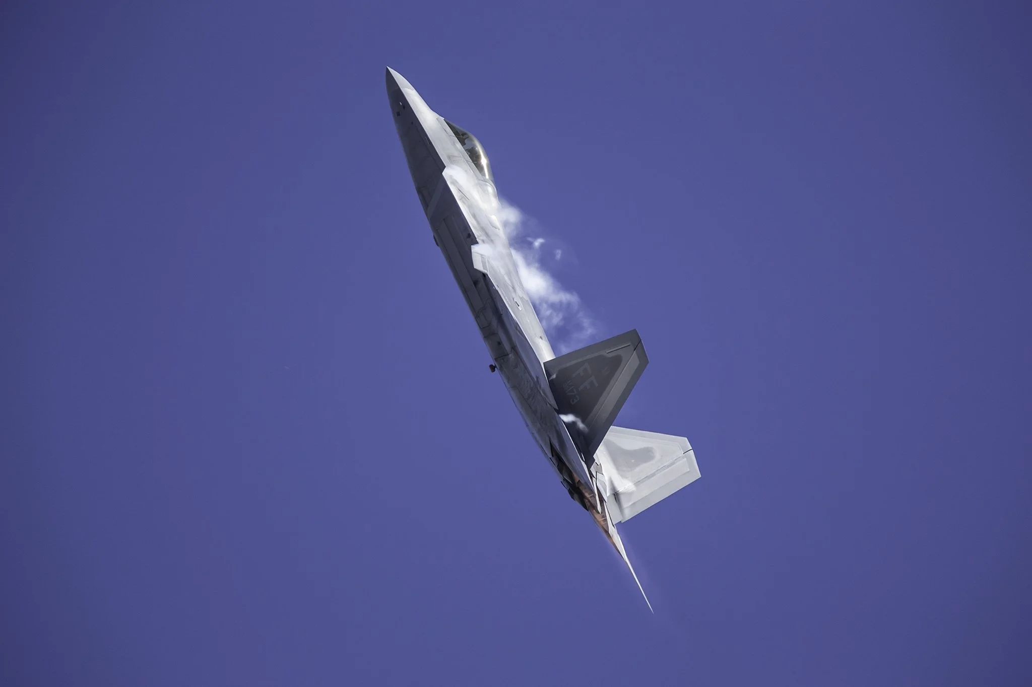 Raptor.jpg