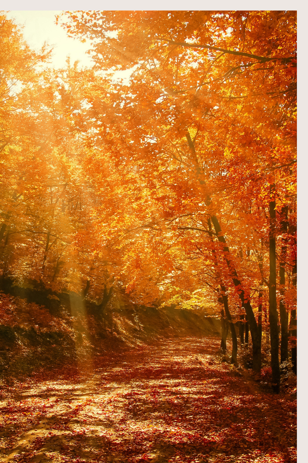 Lessons from the change in season. 🍁