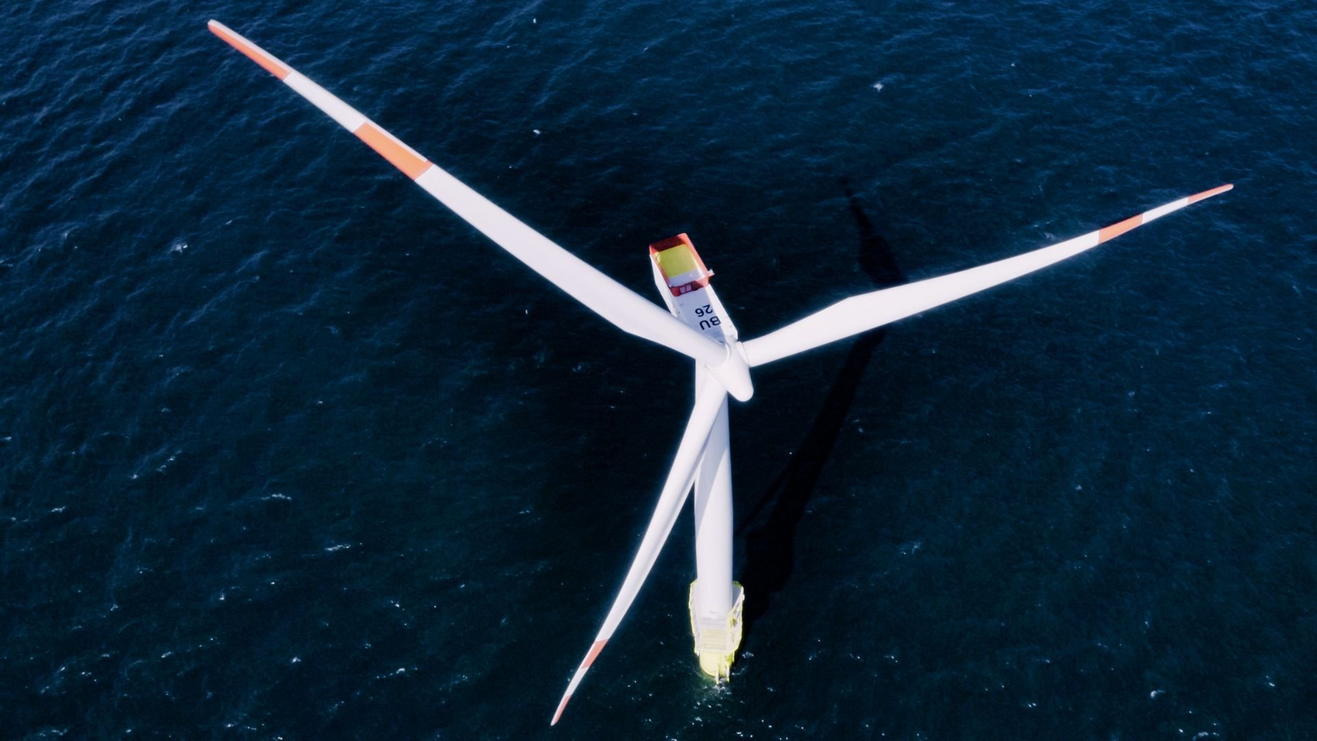 GOWA Welcomes Progress on Port Infrastructure Critical to Offshore Wind