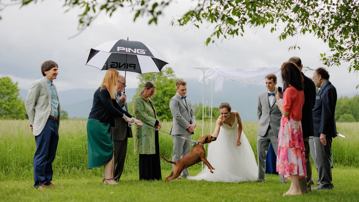 A wedding ceremony outdoors with a bride and groom, surrounded by guests, one holding an umbrella, in a grassy field with cloudy sky.