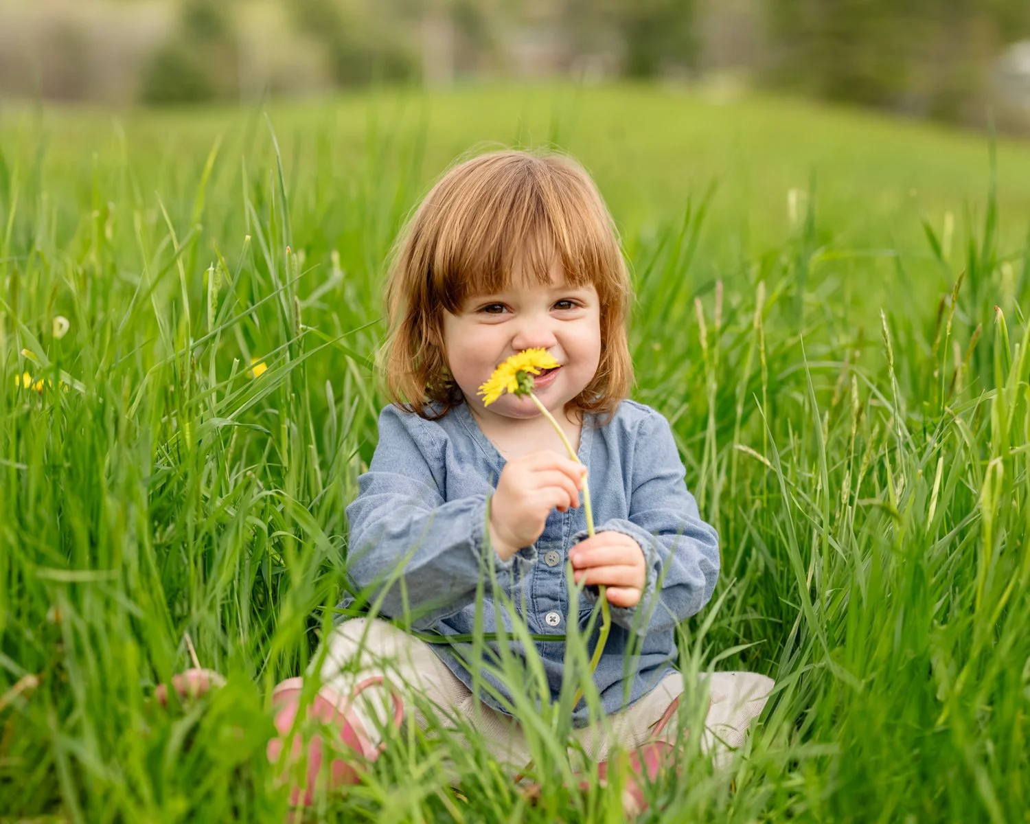 A young girl with red hair sitting in tall green grass, holding a yellow flower close to her face with a playful smile.