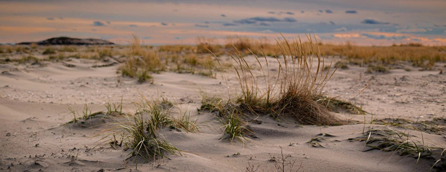 Sand dunes with sparse grass in a desert landscape at sunset or sunrise, with a cloudy sky.