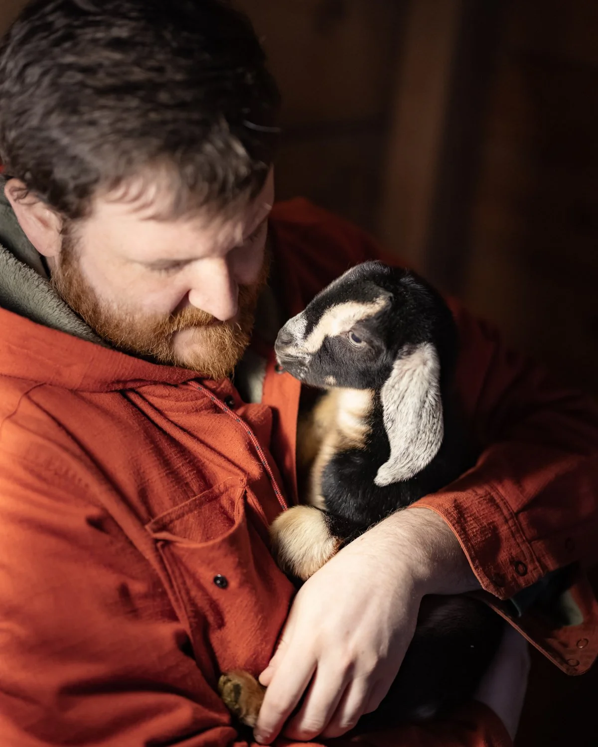 A man with a red beard and brown hair holding a baby goat with black, white, and tan coloring in his arms.