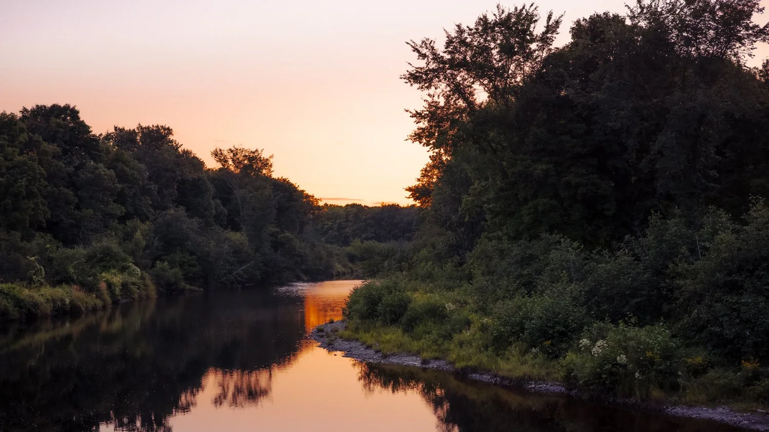 A tranquil river at sunset surrounded by dense green trees on both sides with a pink and orange sky reflected in the water.